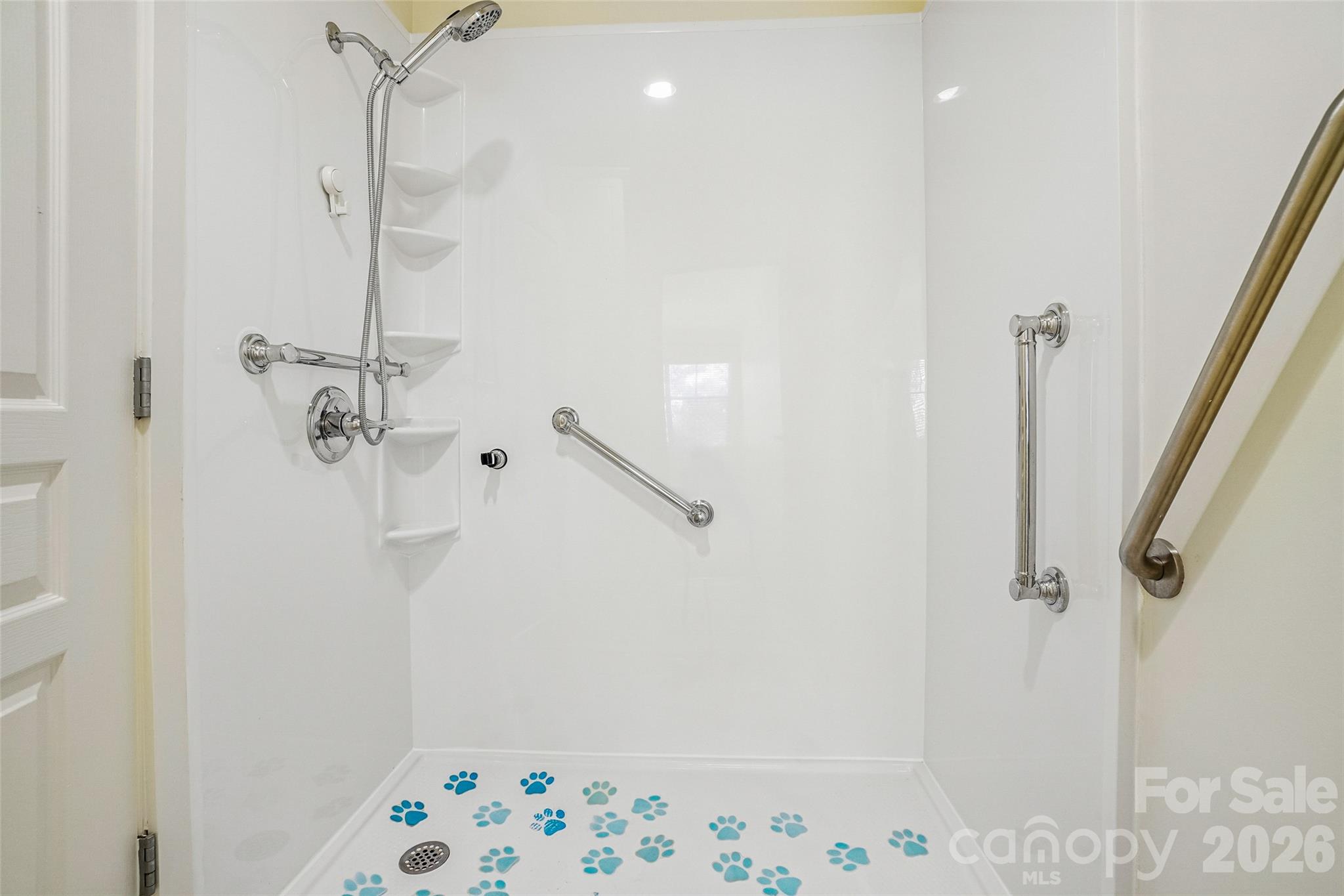 Shower in the second bathroom offers grab bars for safety. - 9 Kenilworth Knolls, Asheville