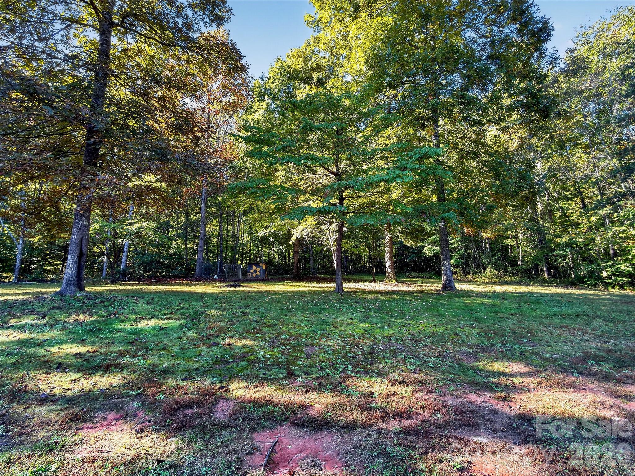 Backyard - 124 Tyler Terrace, Rutherfordton