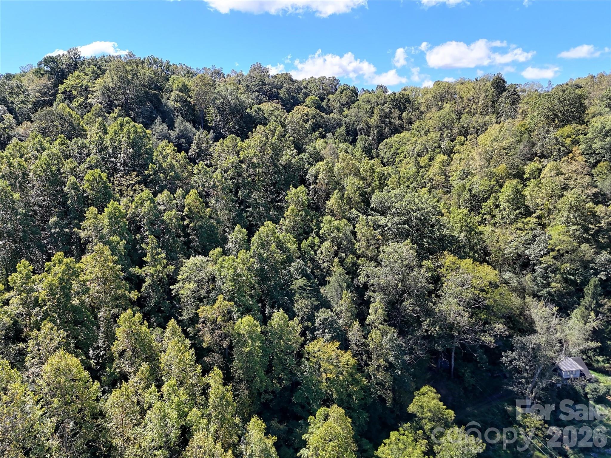 Acreage at 2523 Asheville Highway, Canton, photo 12 of 20