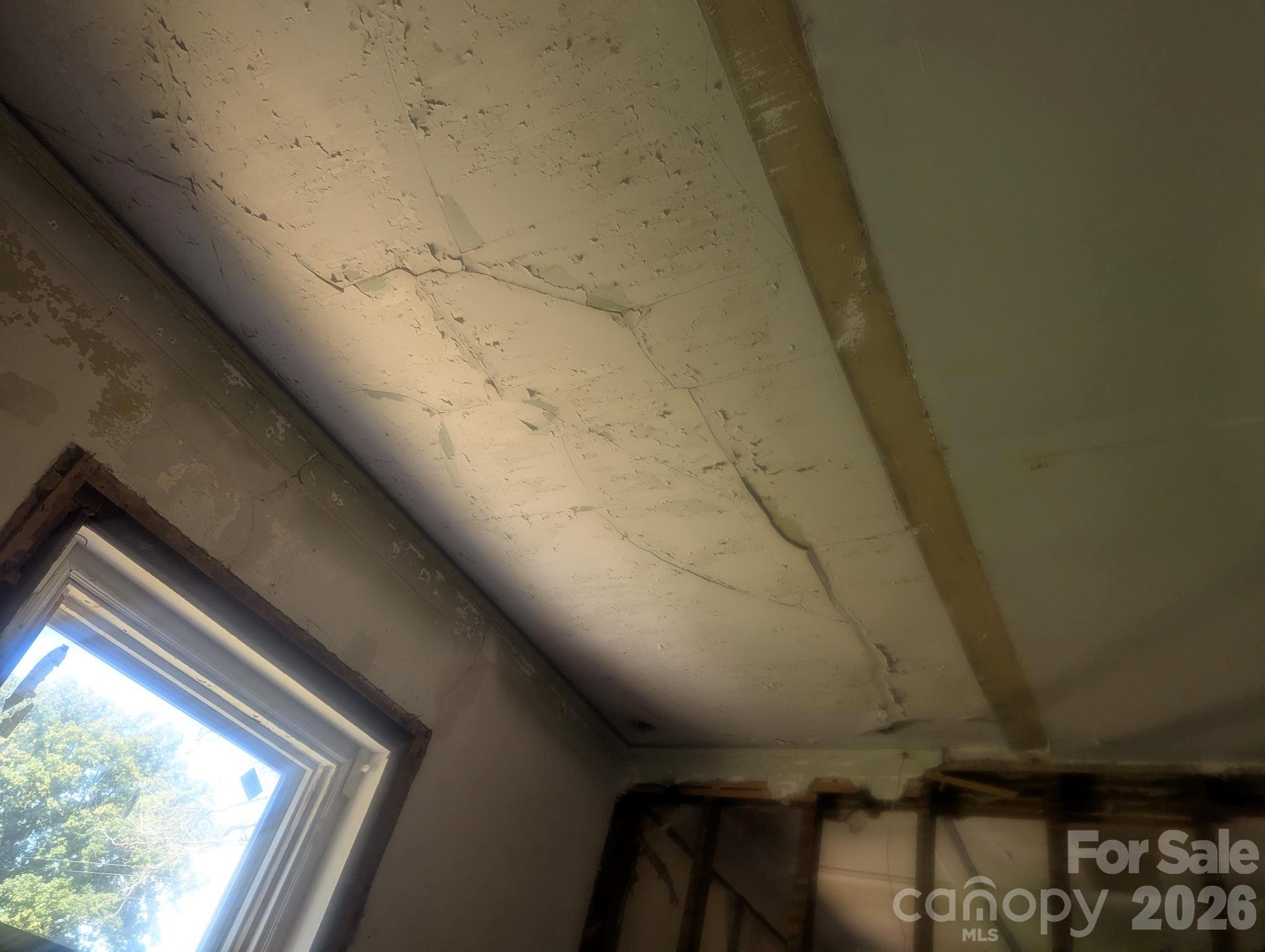 Special Purpose at 229 Wilson Street, Lenoir, photo 7 of 21