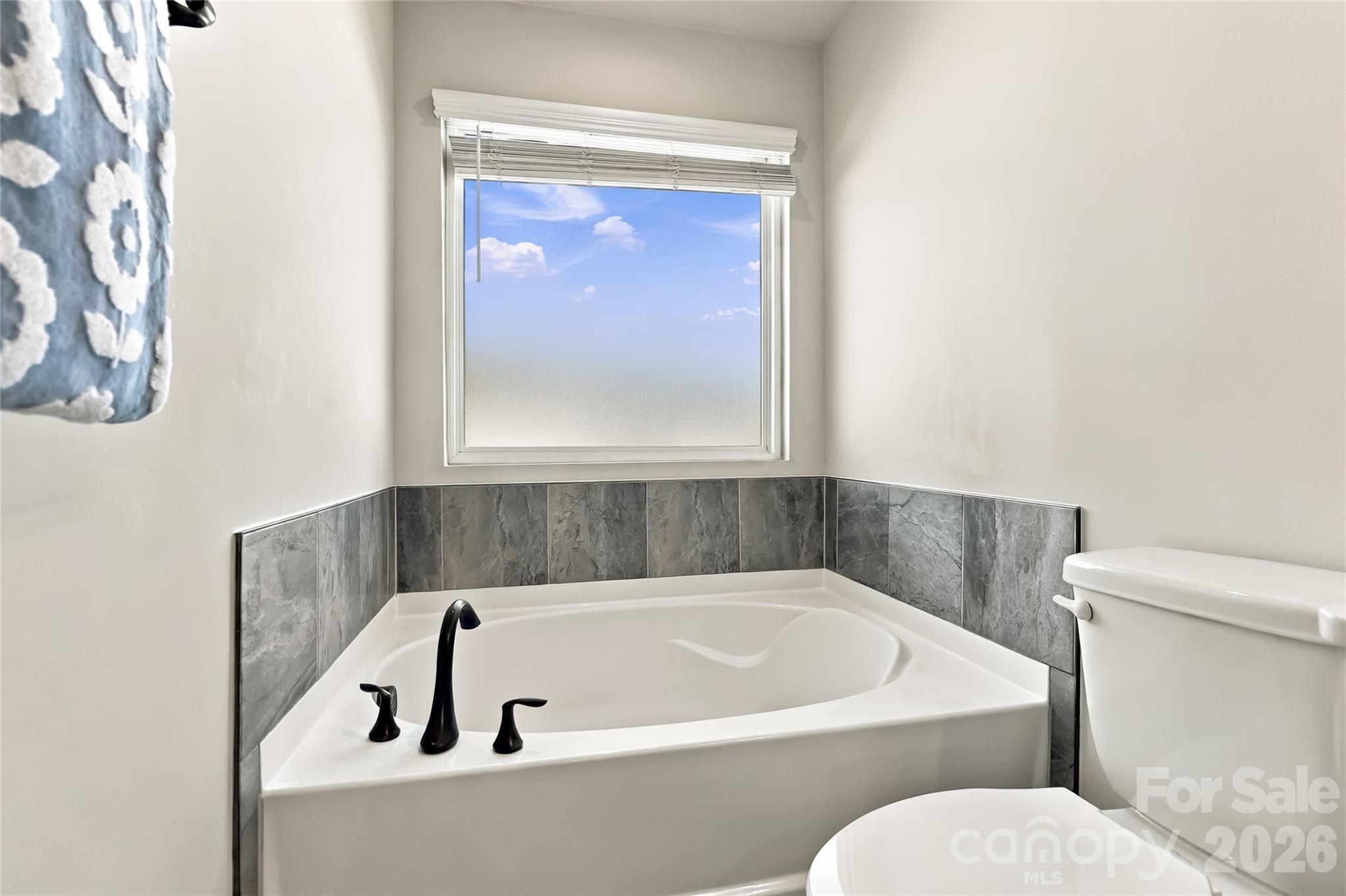 Townhouse at 15640 Little Bluestem Street, Charlotte, photo 25 of 38