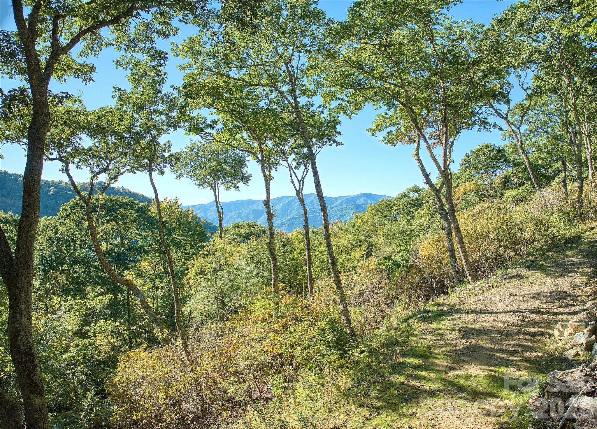 Lot at 270 Olli Trail, Maggie Valley, photo 3 of 20