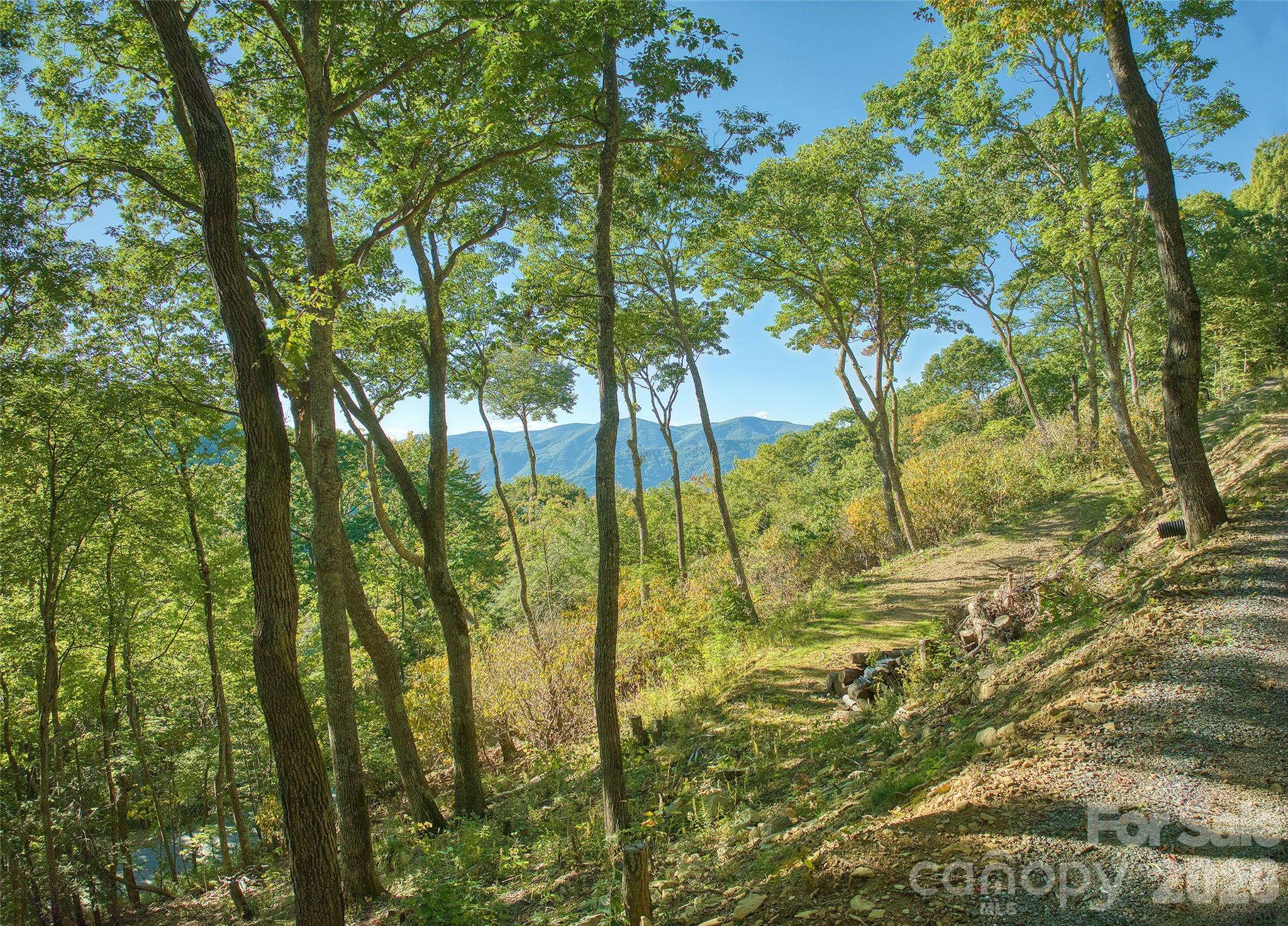 Lot at 270 Olli Trail, Maggie Valley, photo 6 of 20
