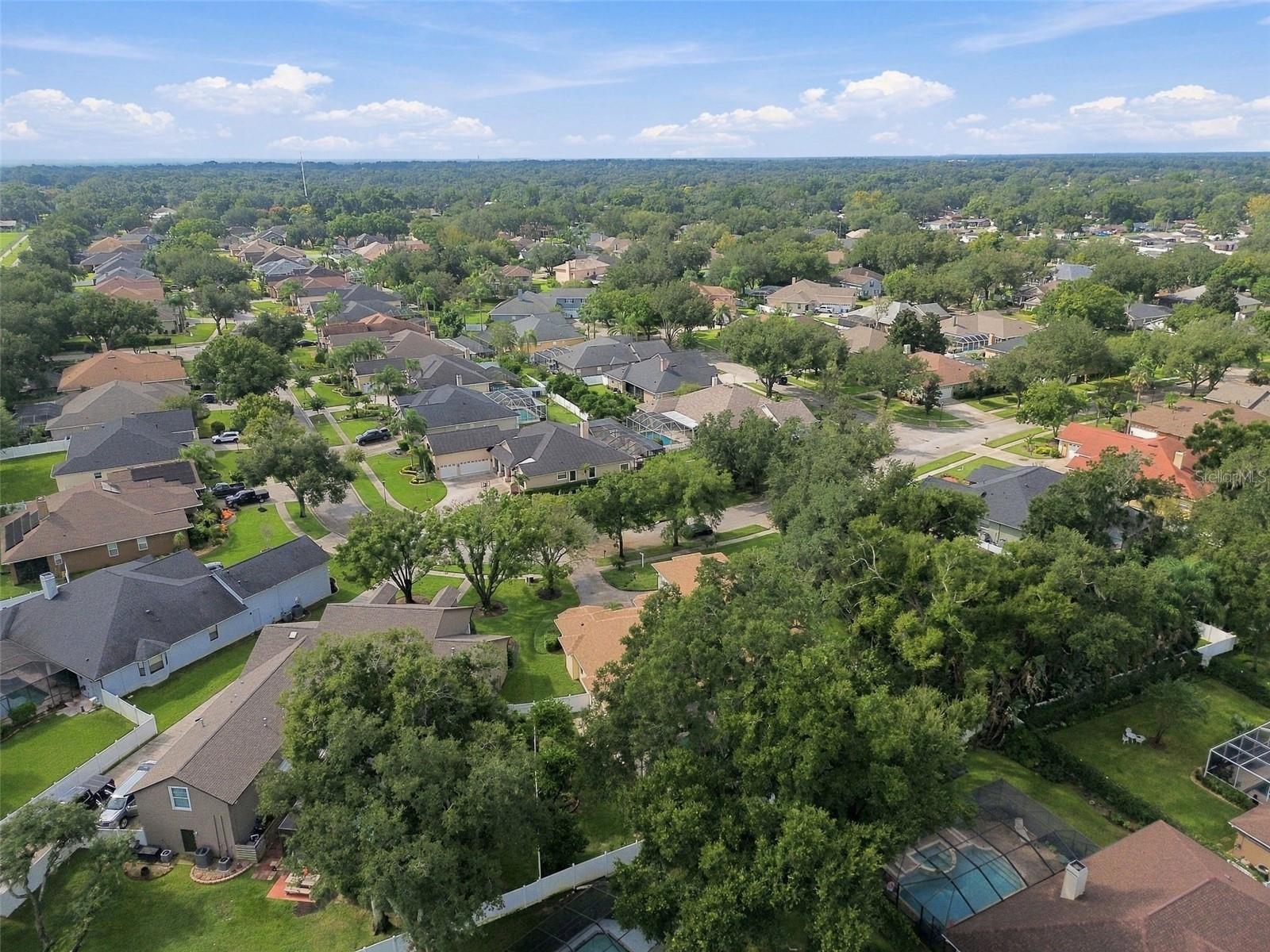 Single Family Residence at 816 CITRUS WOOD LN, VALRICO, photo 99 of 100