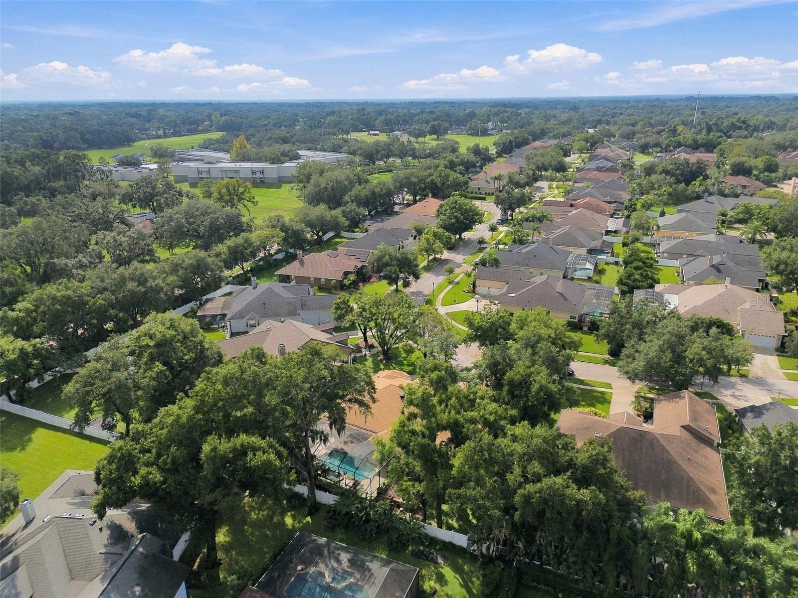 Single Family Residence at 816 CITRUS WOOD LN, VALRICO, photo 100 of 100