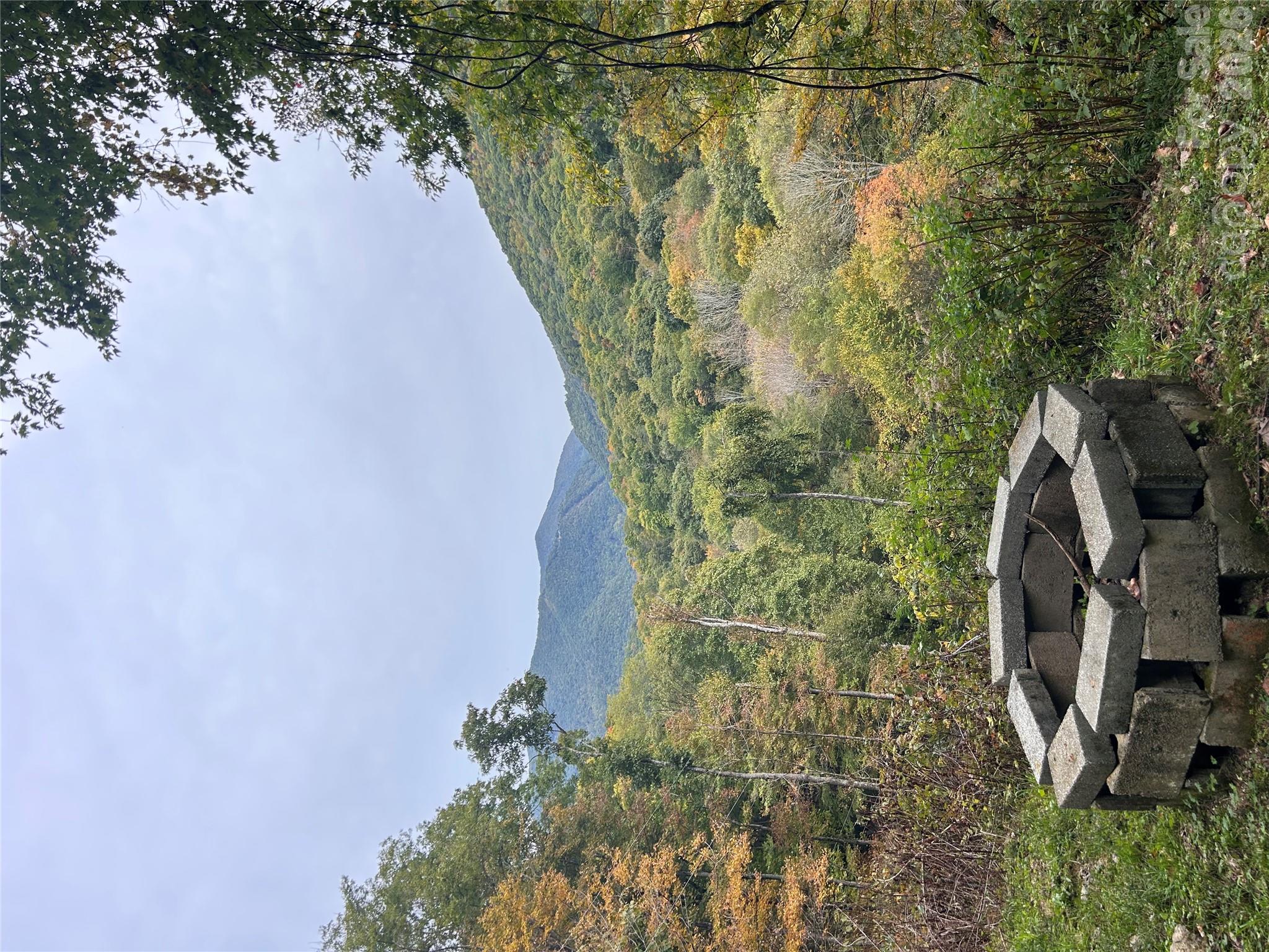 Single Family Residence at 340 Wayah Zooshuga Road, Maggie Valley, photo 4 of 25