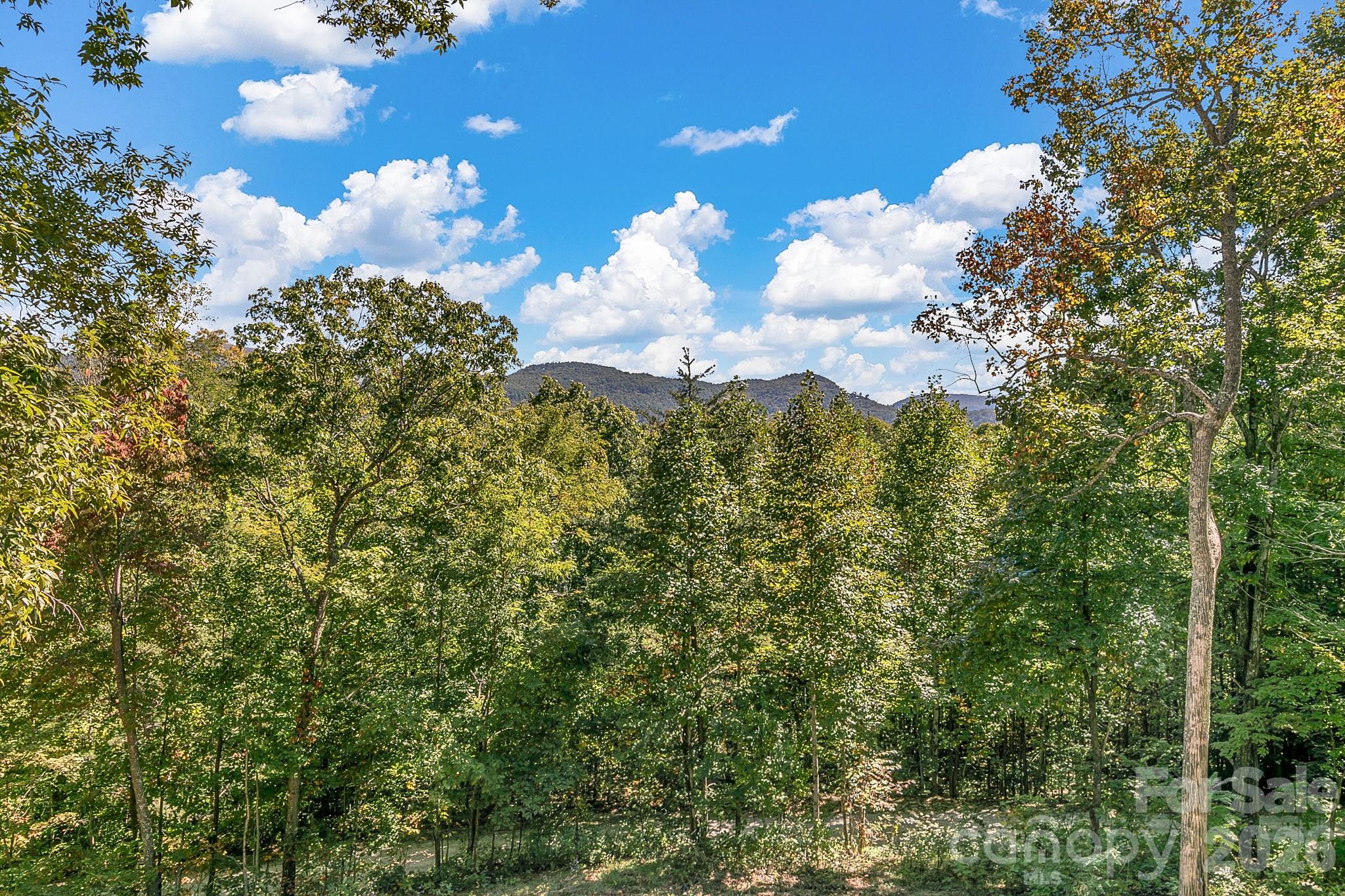 Single Family Residence at 135 Bald Eagle Drive, Hendersonville, photo 20 of 41