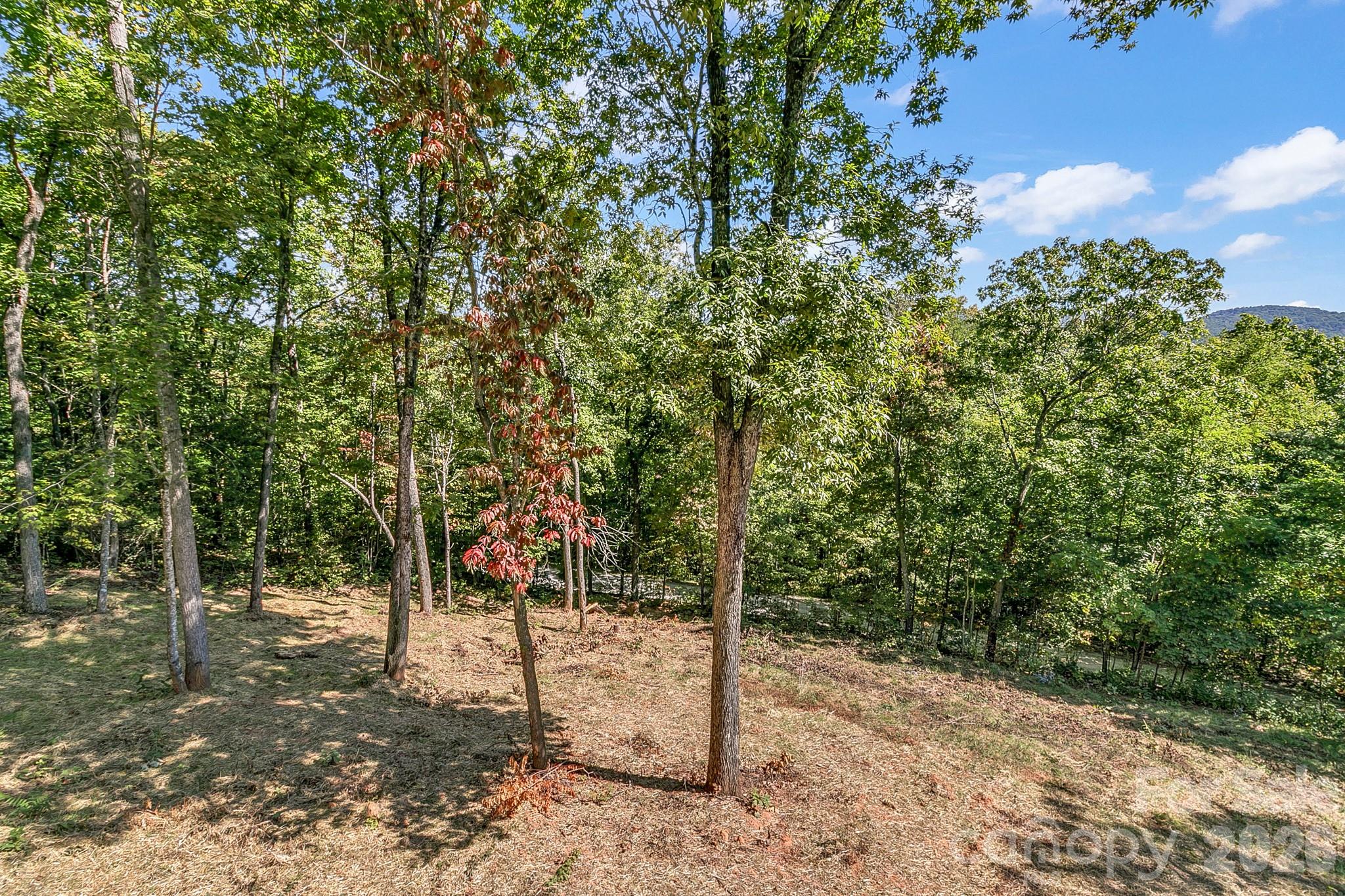 Single Family Residence at 135 Bald Eagle Drive, Hendersonville, photo 21 of 41