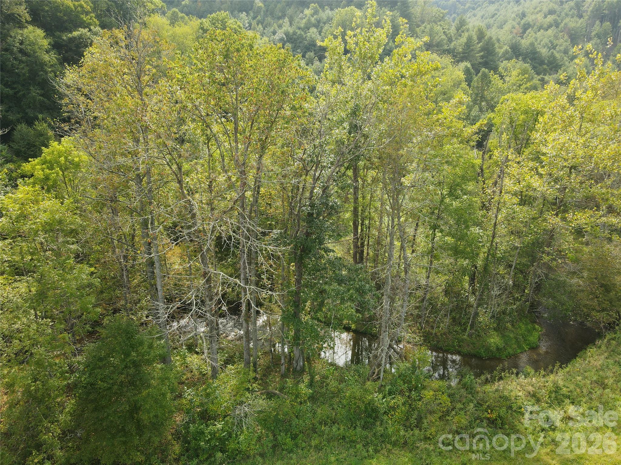 Acreage at TBD US 19 Highway, Burnsville, photo 3 of 13