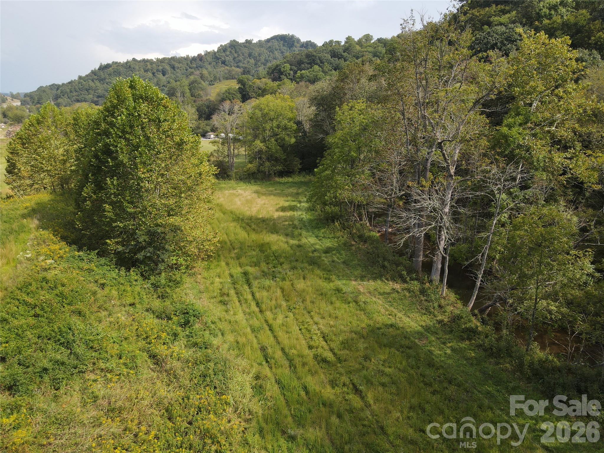 Acreage at TBD US 19 Highway, Burnsville, photo 4 of 13