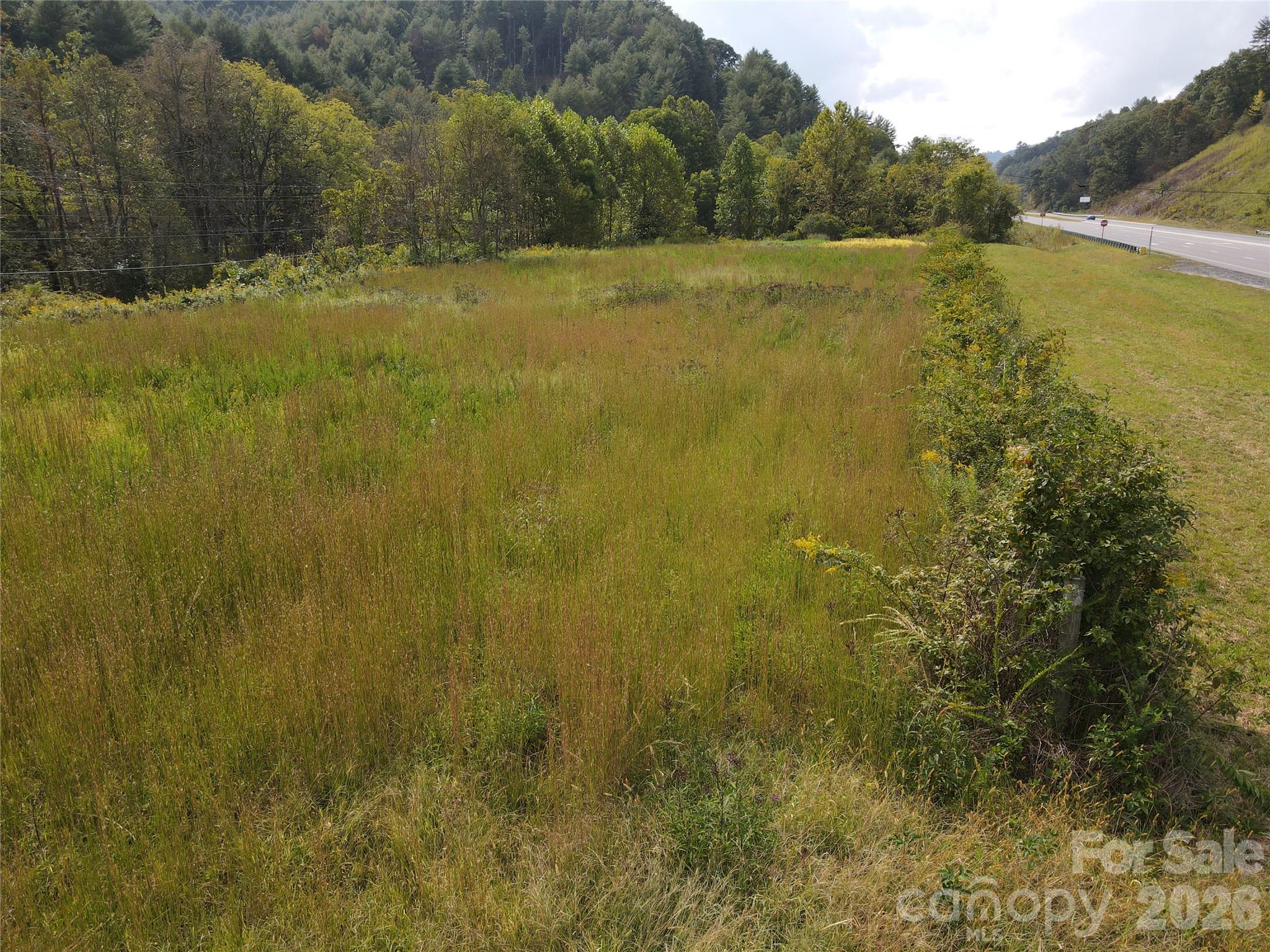 Acreage at TBD US 19 Highway, Burnsville, photo 7 of 13