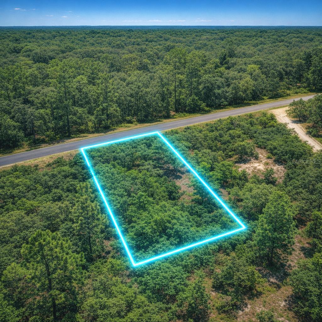Land at 0 SE 133rd Ave Rainbow Lakes Est AVE, DUNNELLON FL 34431