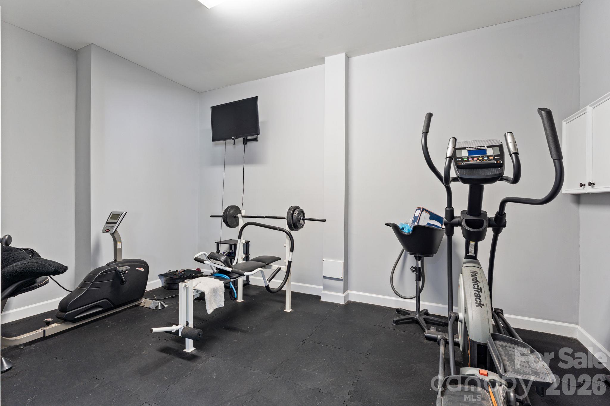 Basement Gym - 287 Walking Horse Trail, Davidson