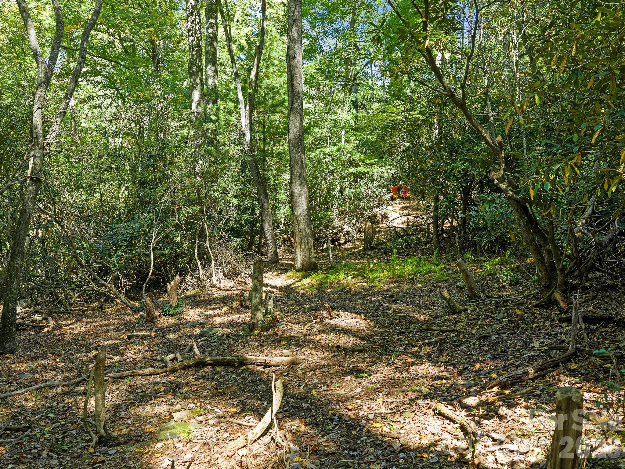 Potential build site - 000 Davenport Road, Spruce Pine