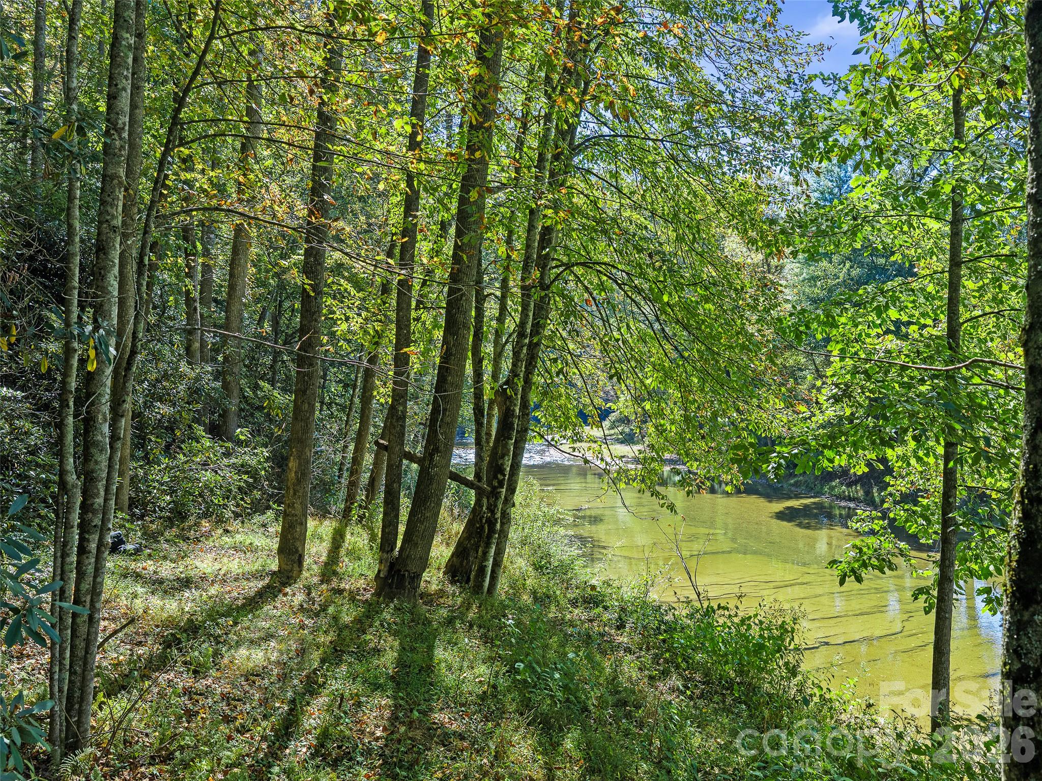 Lot at 000 Davenport Road, Spruce Pine, photo 6 of 20