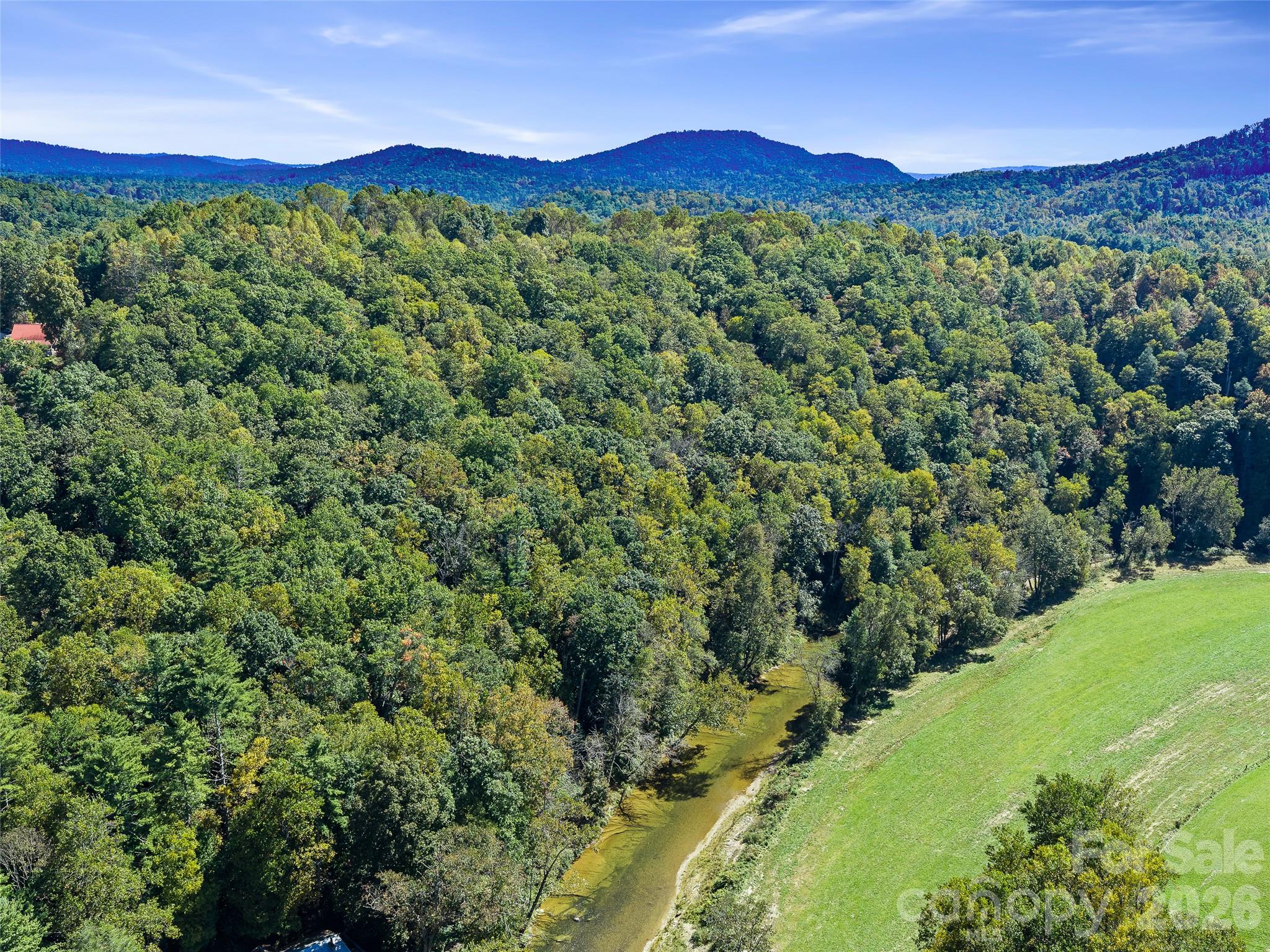 Lot at 000 Davenport Road, Spruce Pine, photo 9 of 20