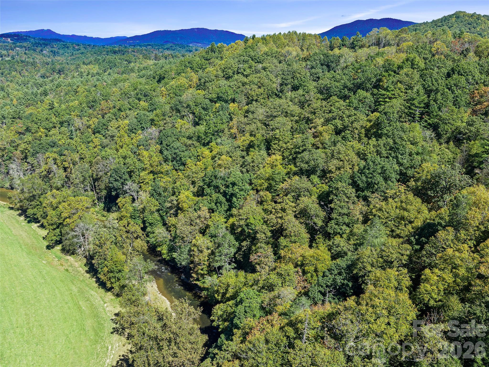 Lot at 000 Davenport Road, Spruce Pine, photo 12 of 20