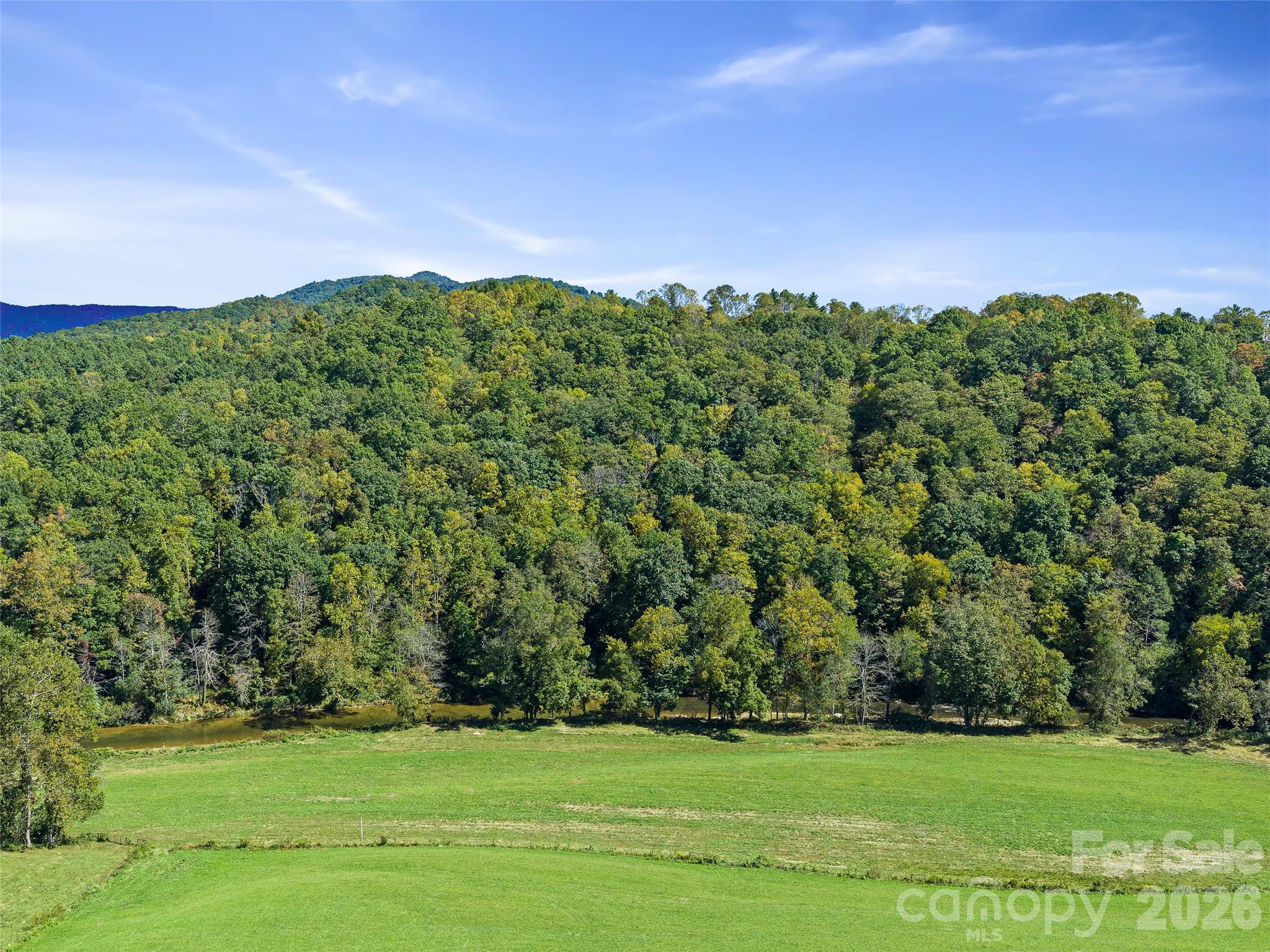Looking at the parcel from the other side - 000 Davenport Road, Spruce Pine