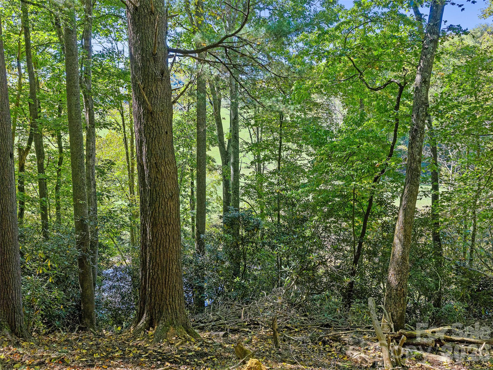 Lot at 000 Davenport Road, Spruce Pine, photo 19 of 20
