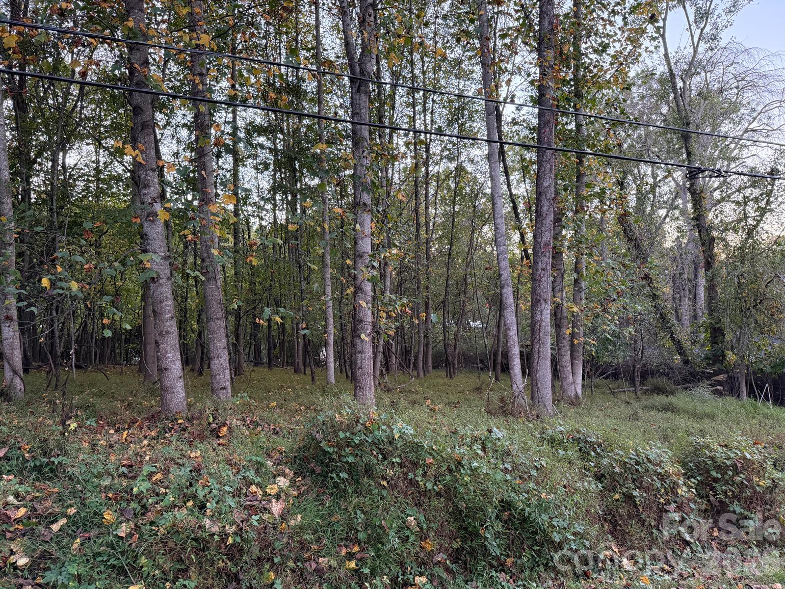 Lot at 0 Sandhurst Drive, Asheville, photo 3 of 15