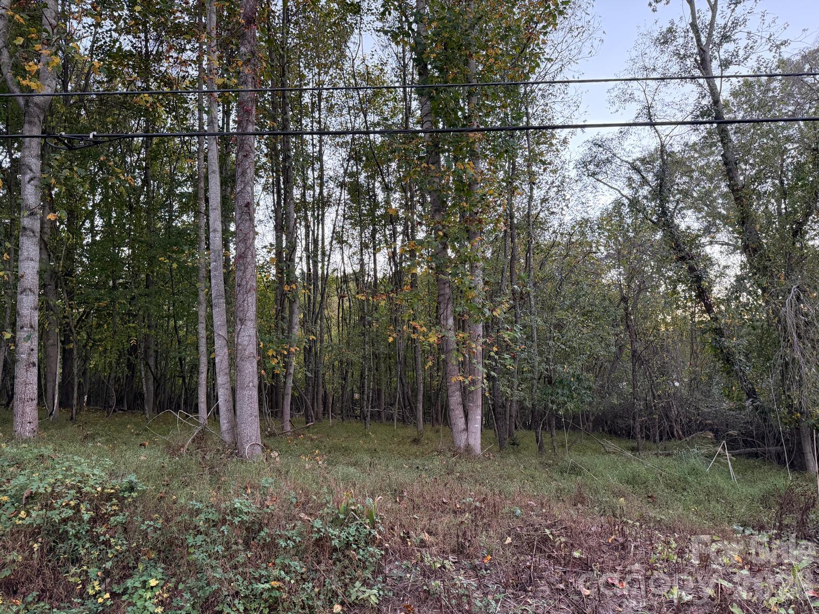 Lot at 0 Sandhurst Drive, Asheville, photo 4 of 15