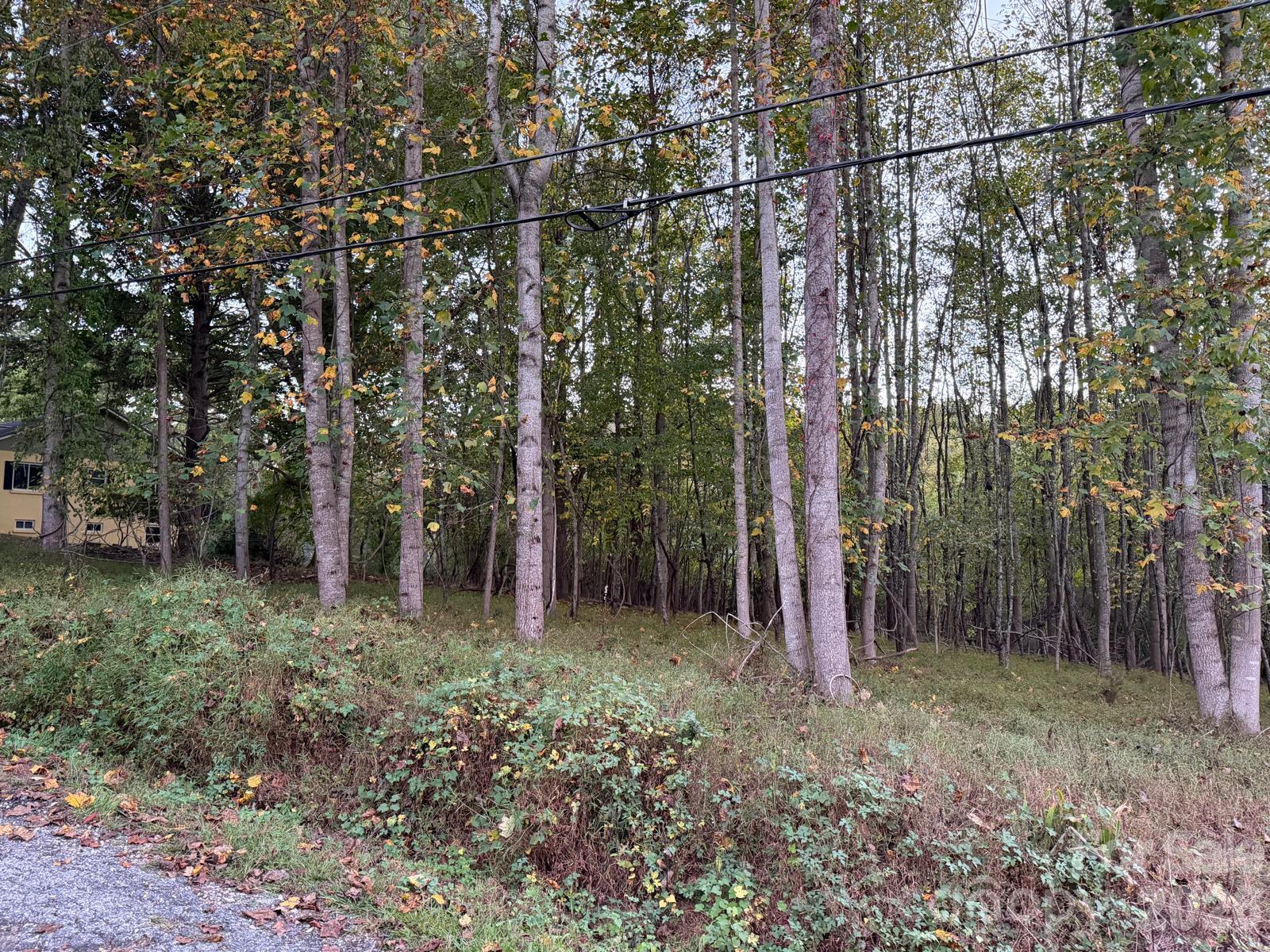 Lot at 0 Sandhurst Drive, Asheville, photo 6 of 15
