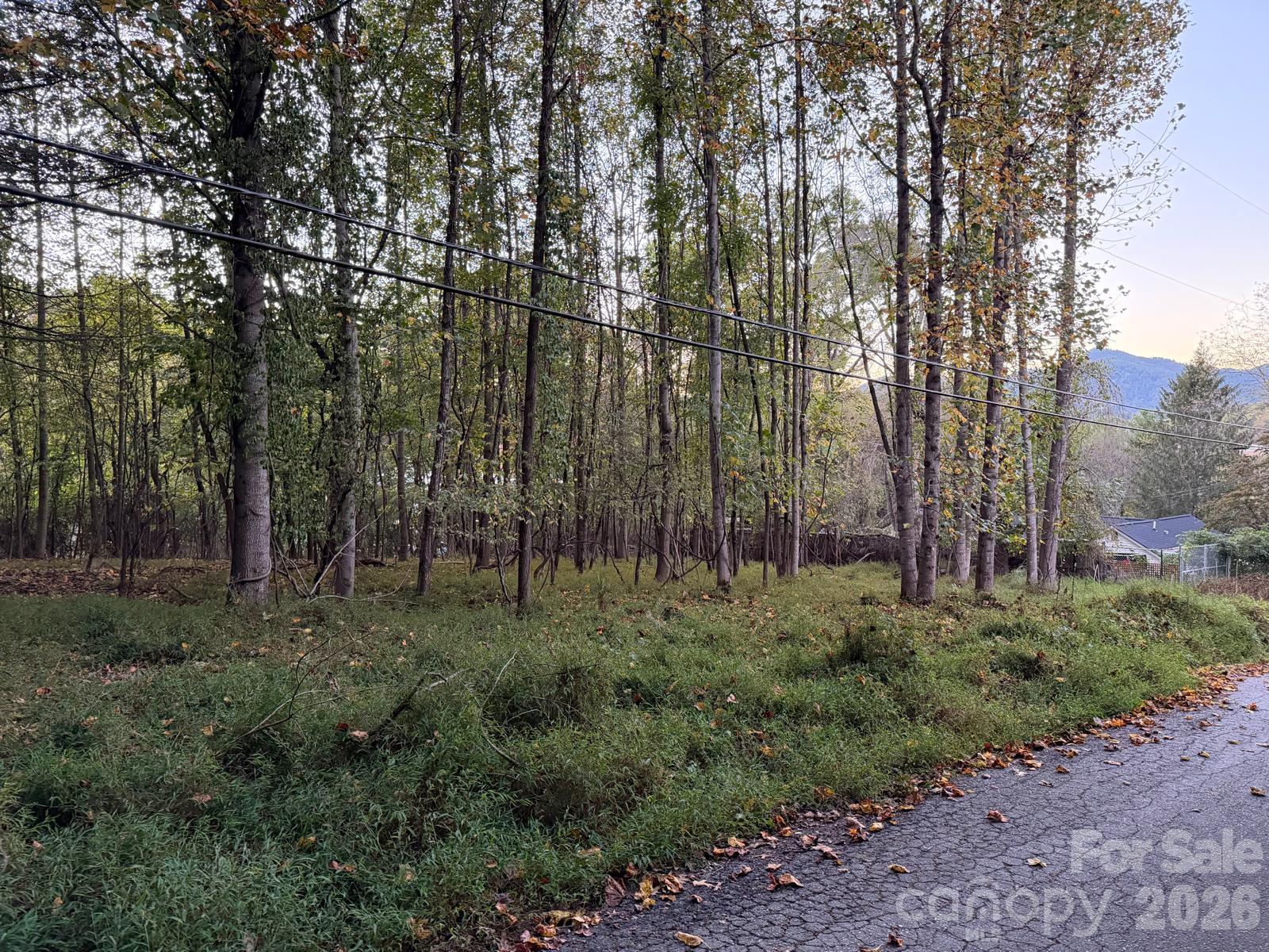 Lot at 0 Sandhurst Drive, Asheville, photo 7 of 15