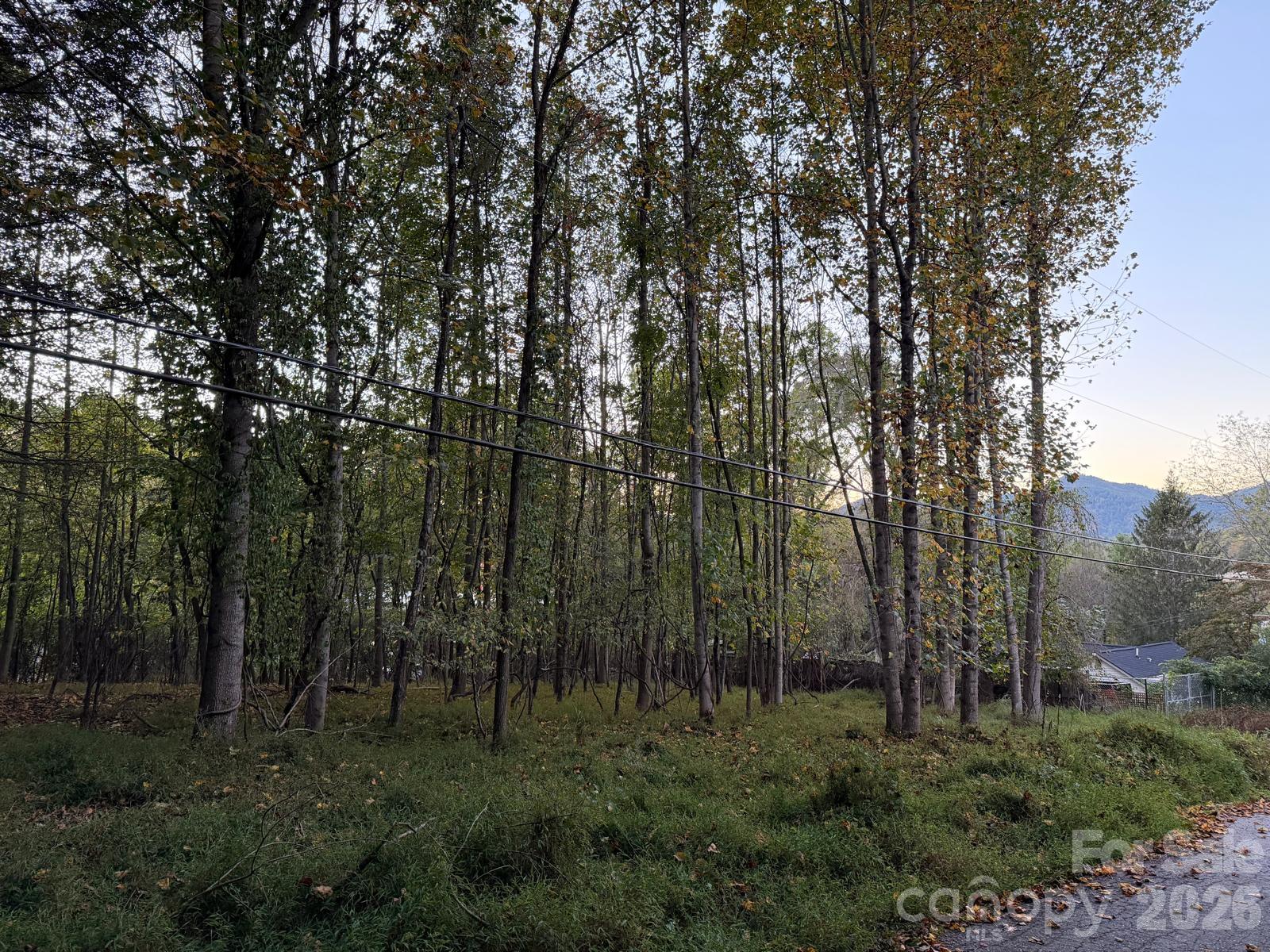 Lot at 0 Sandhurst Drive, Asheville, photo 8 of 15
