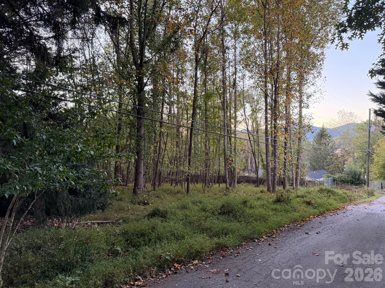 Lot at 0 Sandhurst Drive, Asheville, photo 9 of 15