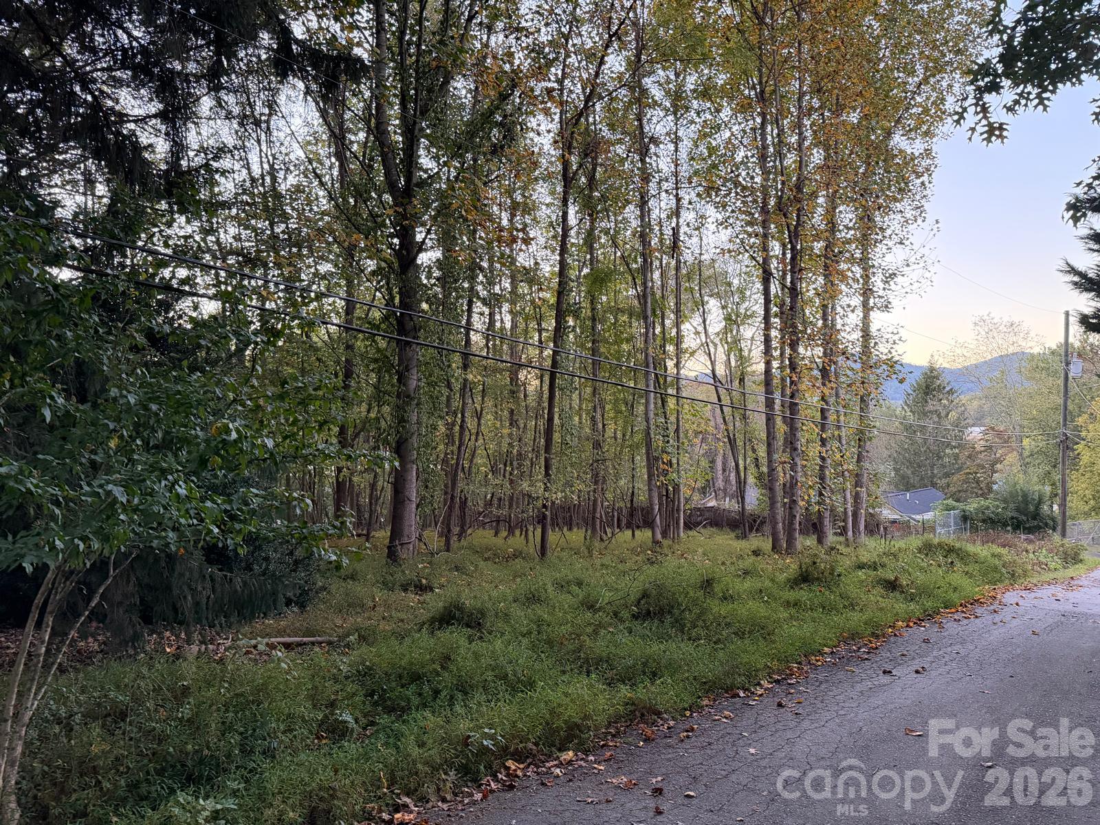 Lot at 0 Sandhurst Drive, Asheville, photo 10 of 15