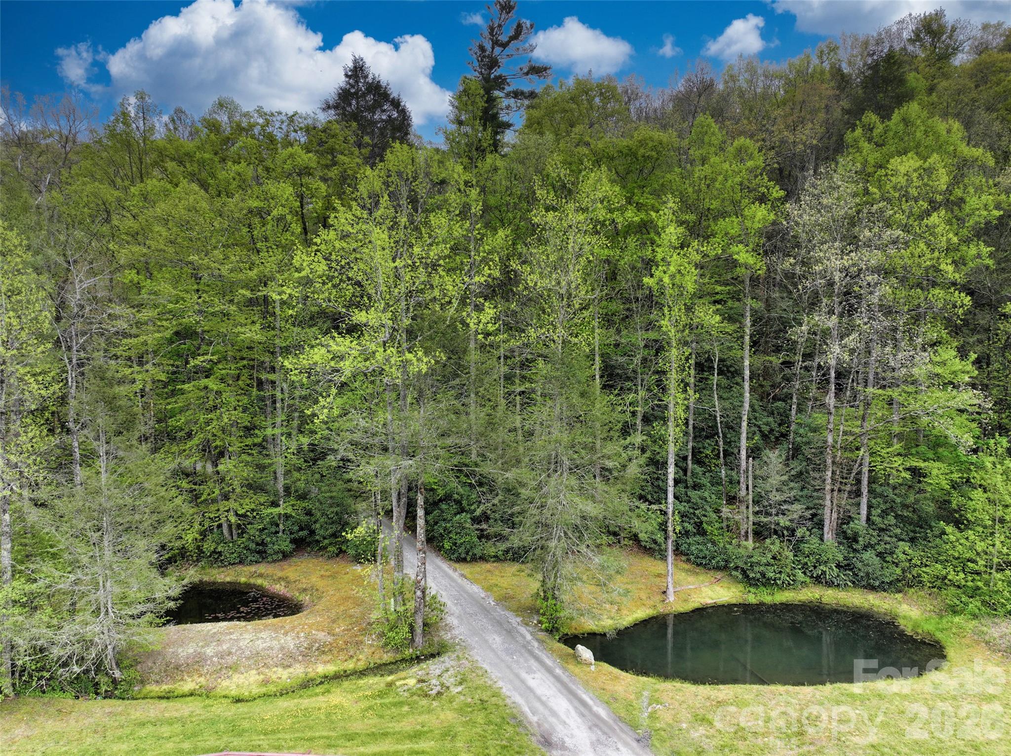 Acreage at 195 & 00000 Blueberry Farm Road, Zirconia, photo 17 of 24