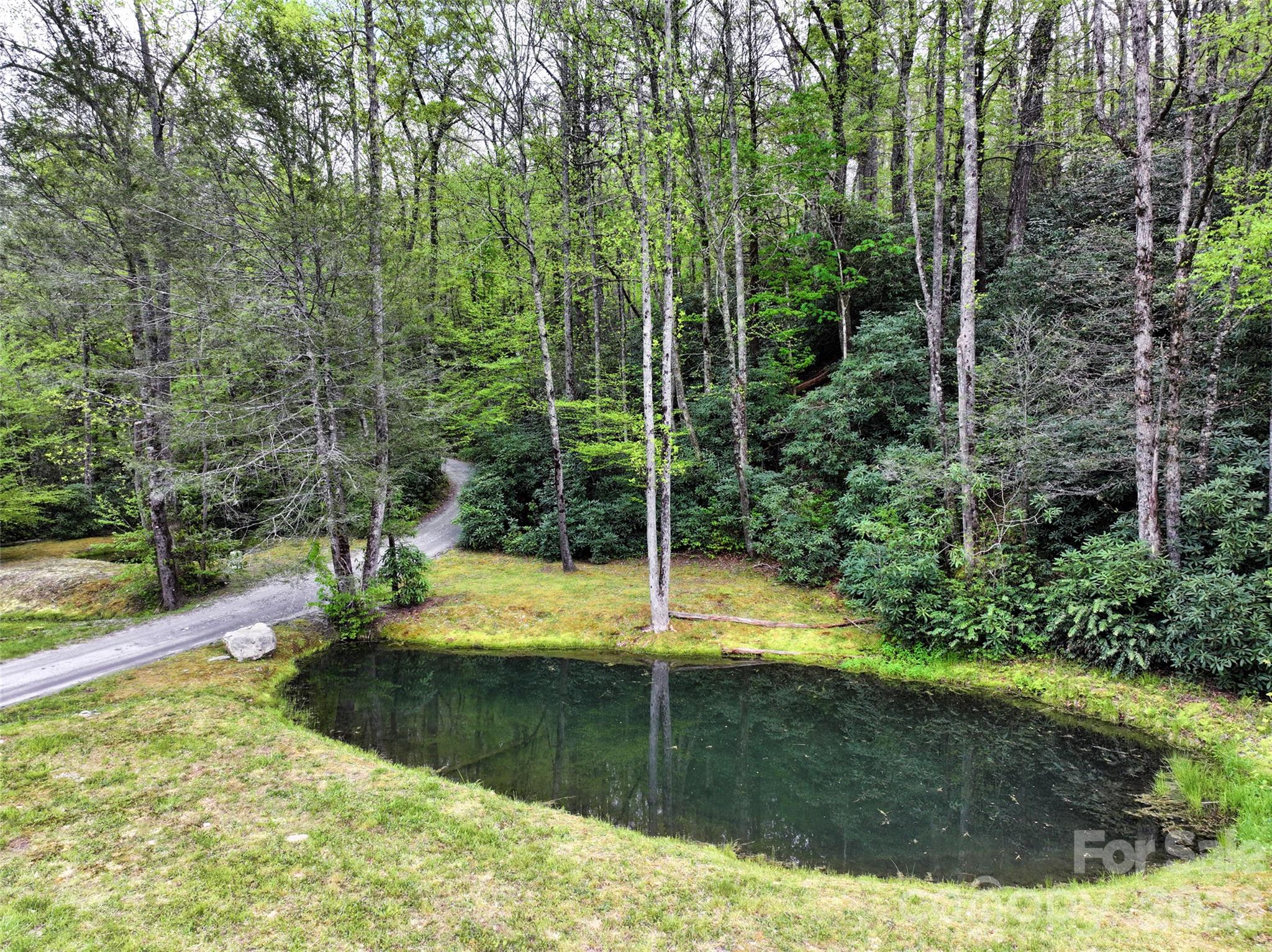 Acreage at 195 & 00000 Blueberry Farm Road, Zirconia, photo 19 of 24