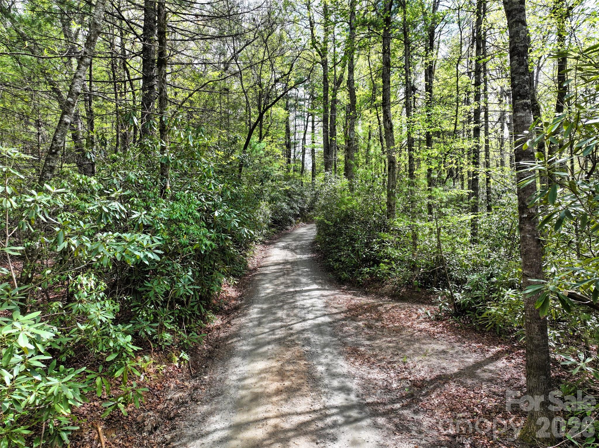 Acreage at 195 & 00000 Blueberry Farm Road, Zirconia, photo 21 of 24