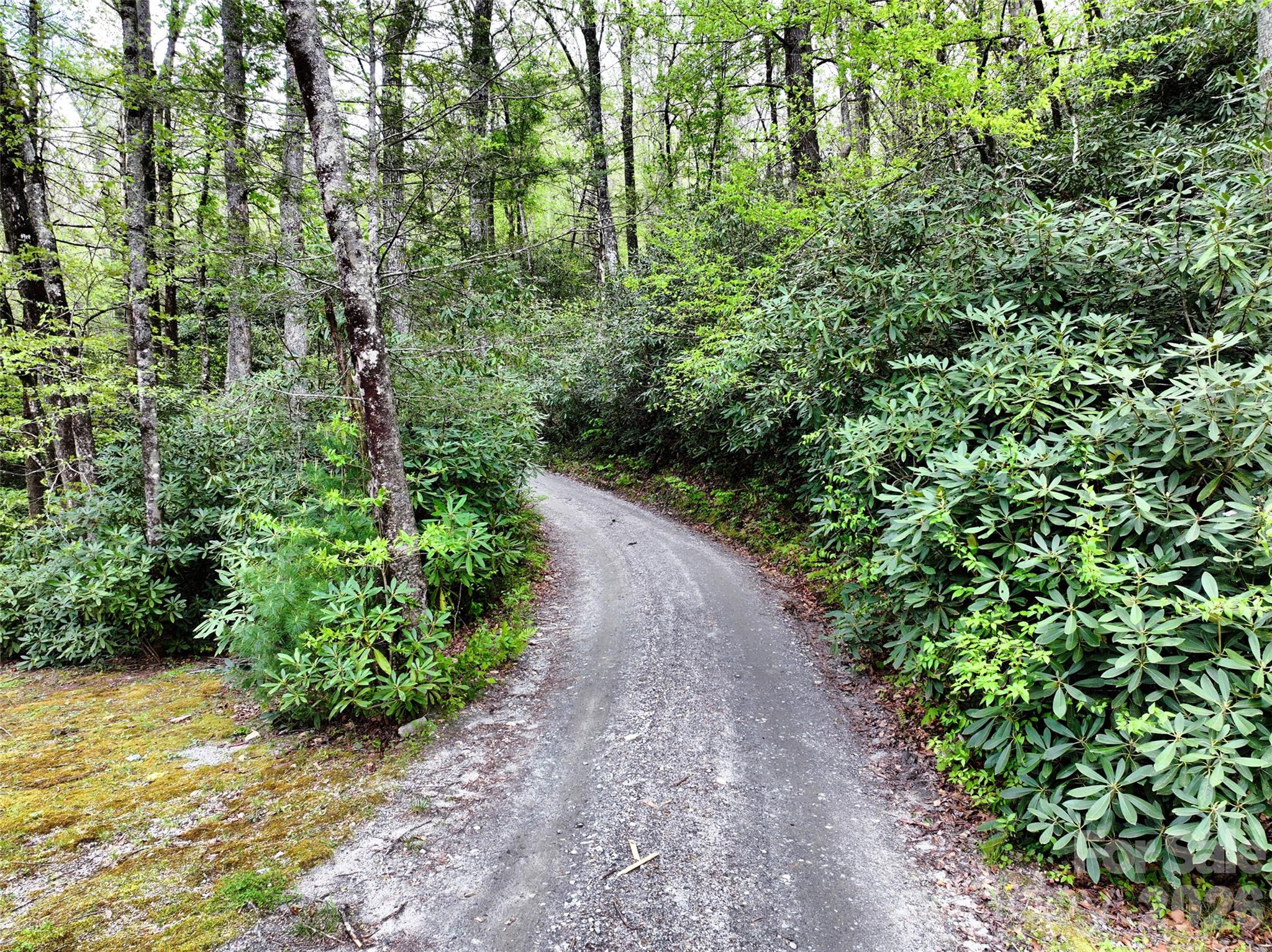 Acreage at 195 & 00000 Blueberry Farm Road, Zirconia, photo 23 of 24