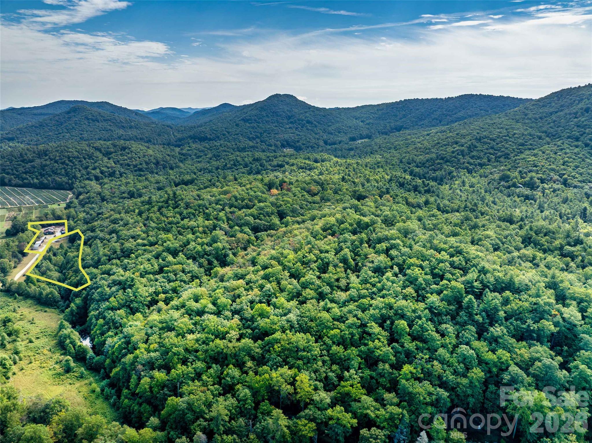 Acreage at 195 & 00000 Blueberry Farm Road, Zirconia, photo 24 of 24