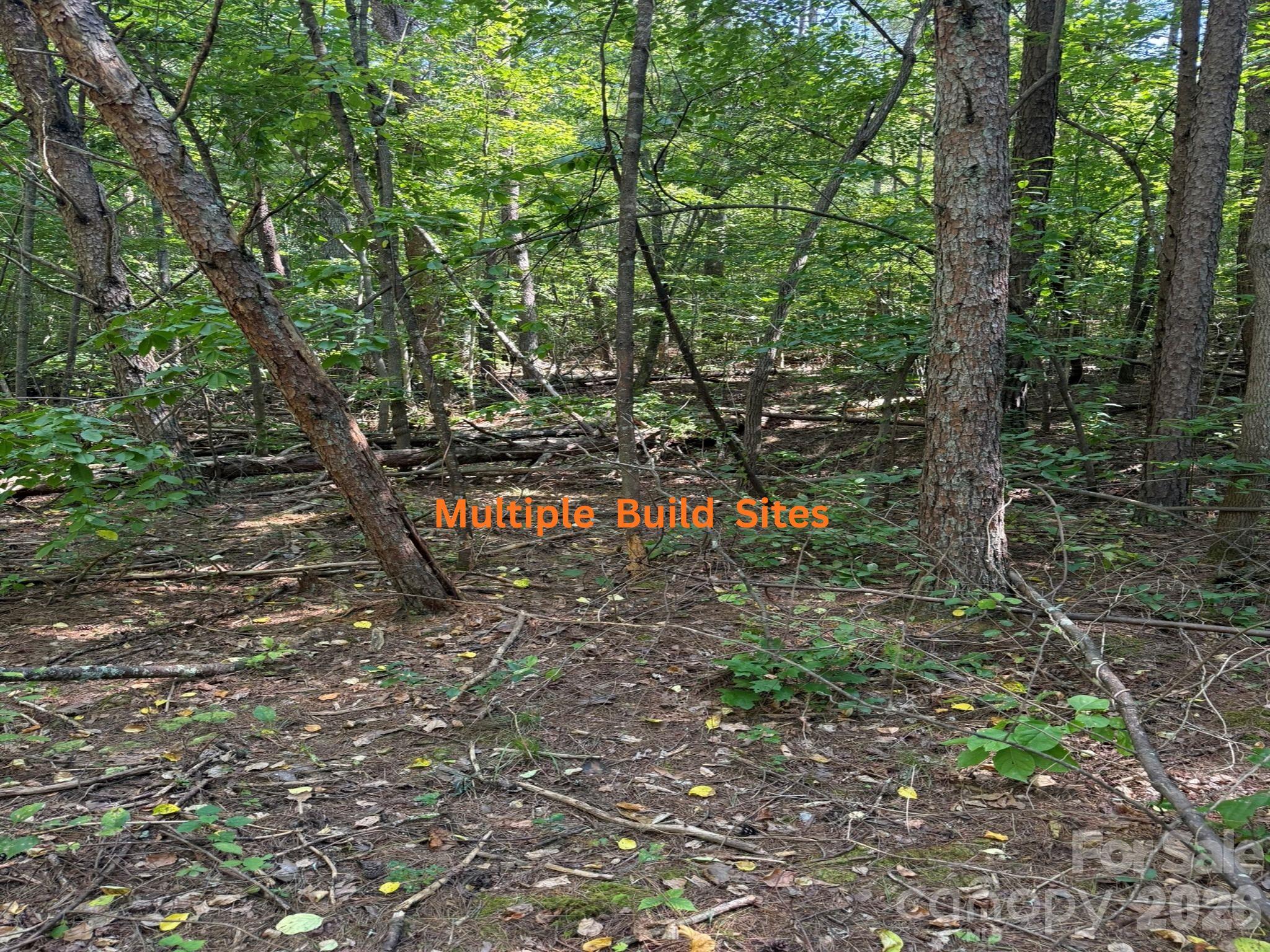 Acreage at 83 Union Chapel Road, Weaverville, photo 9 of 21