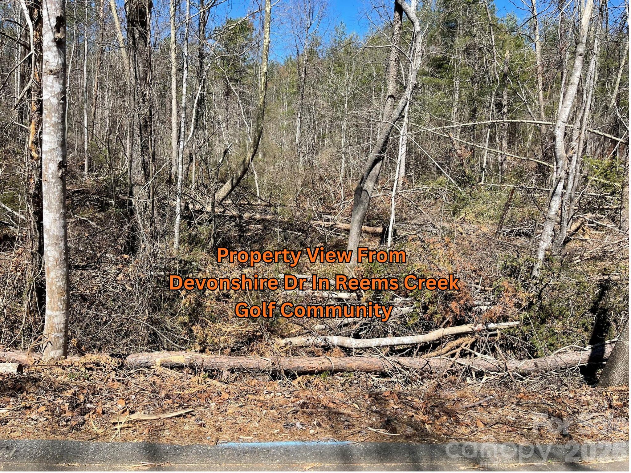 Acreage at 83 Union Chapel Road, Weaverville, photo 11 of 21