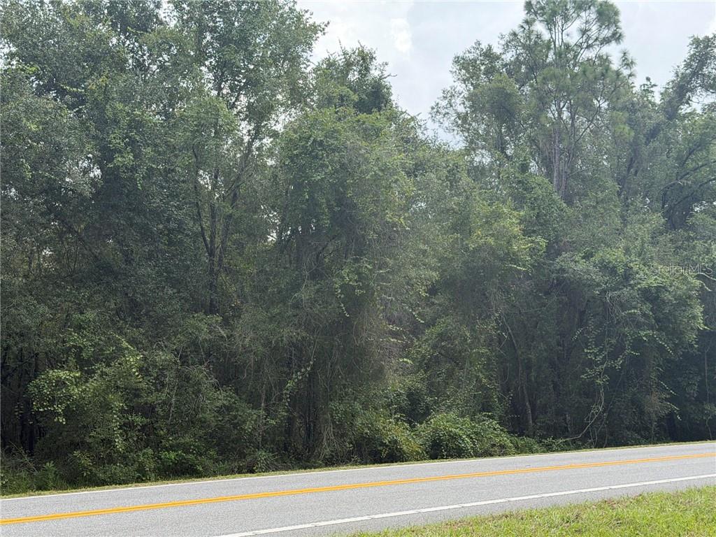 Land at 5075 N Carl G Rose HWY, HERNANDO FL 34442, photo 4 of 11