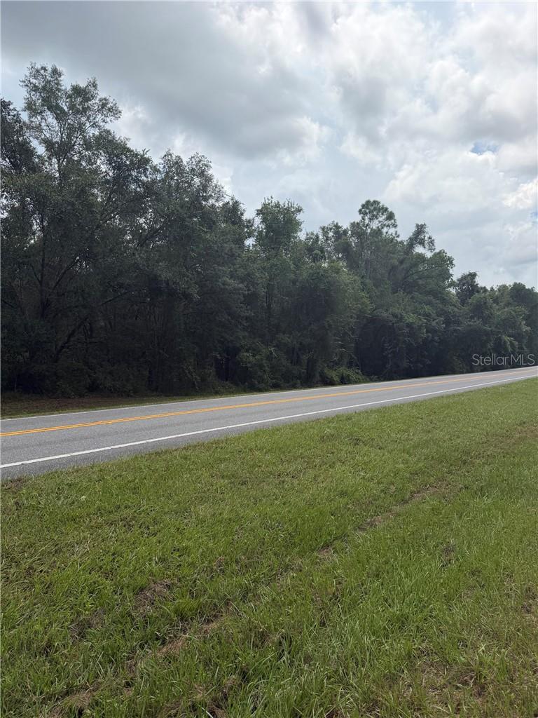 Land at 5075 N Carl G Rose HWY, HERNANDO FL 34442, photo 5 of 11