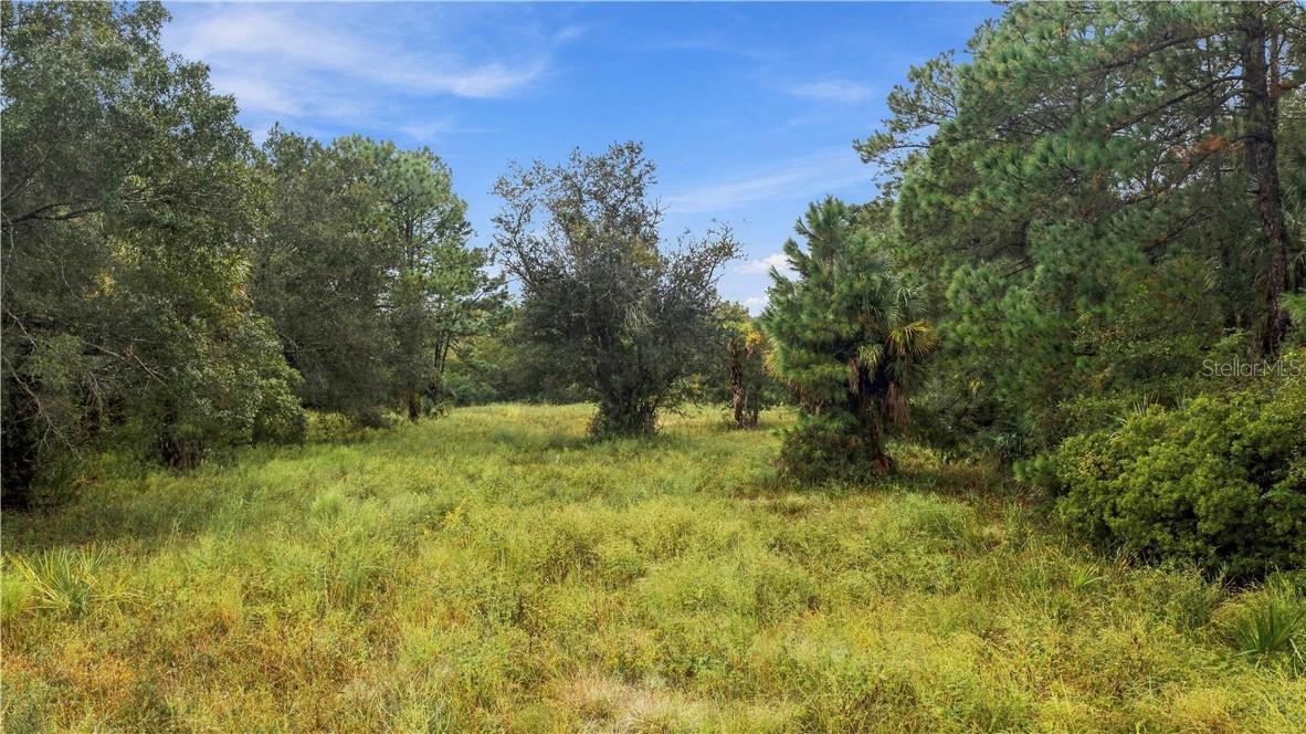 Land at 6248 N Suncoast BLVD, CRYSTALRIVER FL 34428, Crystal River, photo 12 of 15