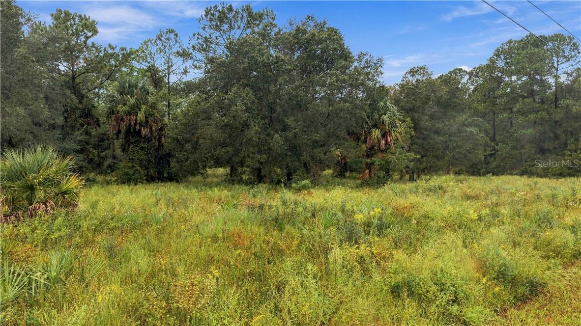 Land at 6248 N Suncoast BLVD, CRYSTALRIVER FL 34428, Crystal River, photo 13 of 15