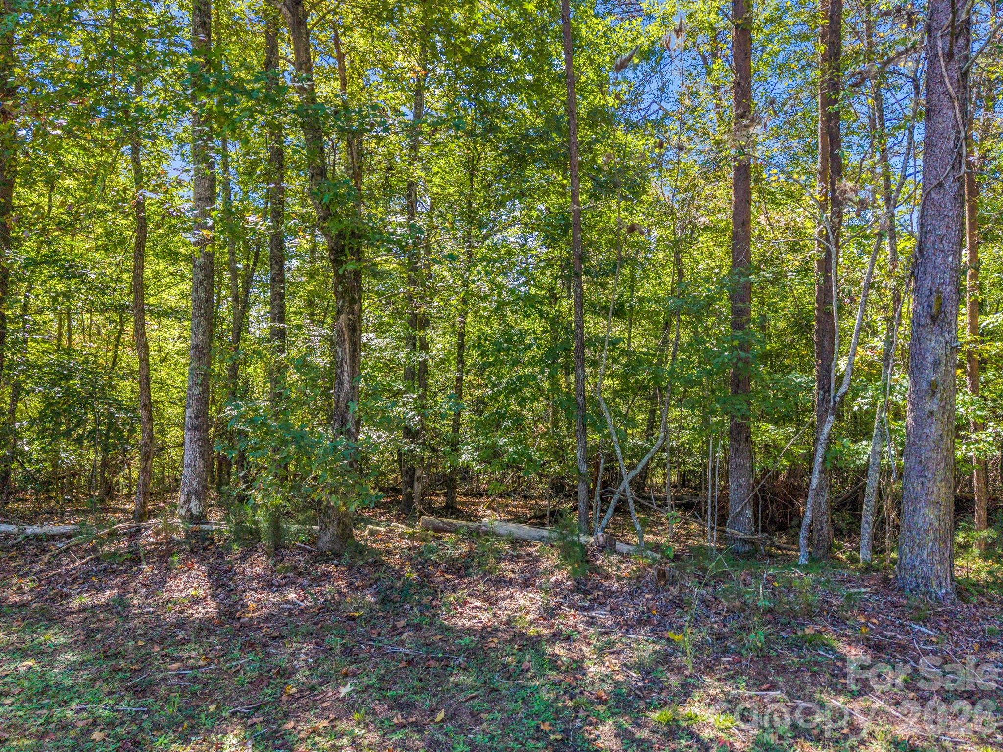 Lot at 0 River Bend Drive, Connelly Springs, photo 10 of 10
