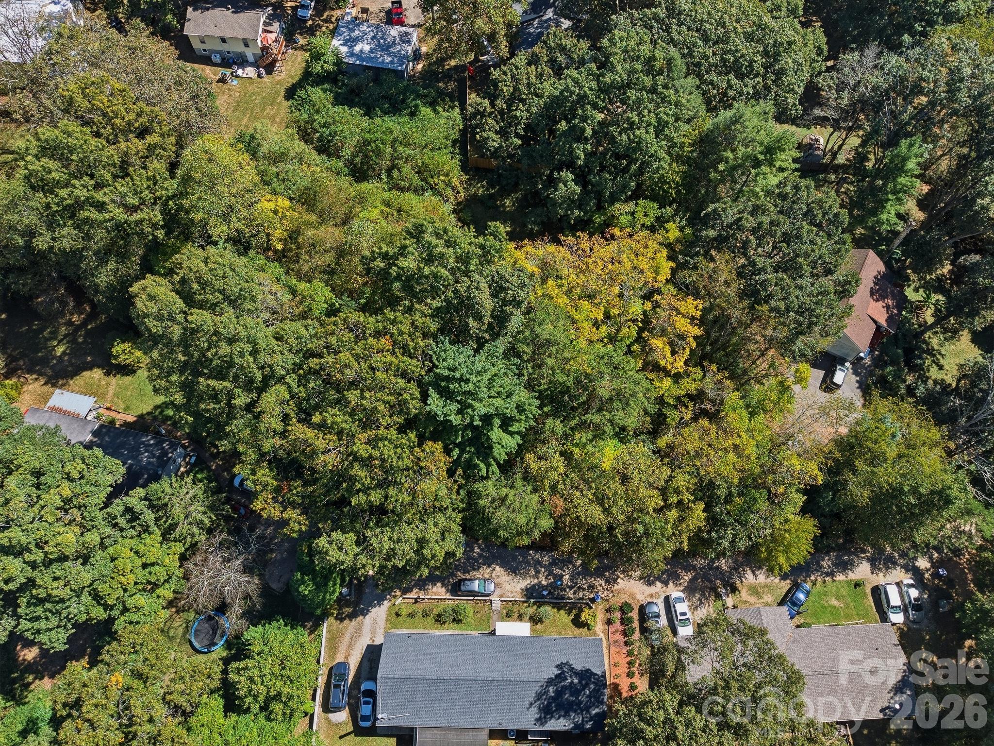 Lot at TBD Hi Alta Avenue, Asheville, photo 2 of 39