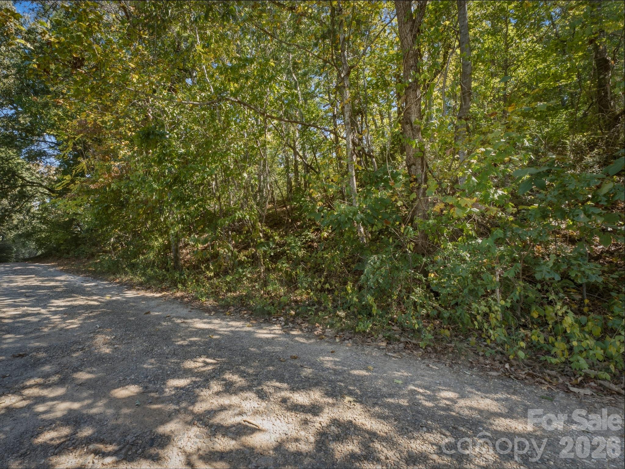 Lot at TBD Hi Alta Avenue, Asheville, photo 39 of 39