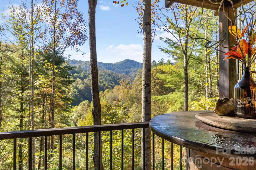 Pick your spot in the great outdoors!!! - 111 Elkhound Road, Waynesville