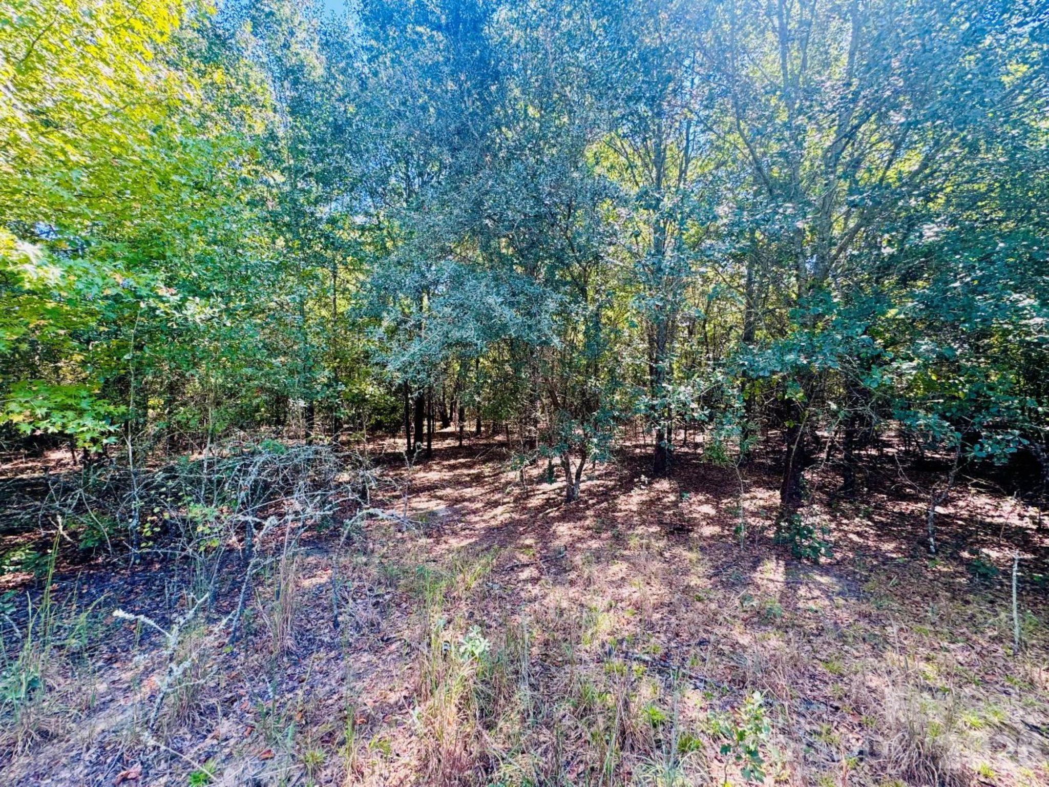 Lot 167 Brangus Lane