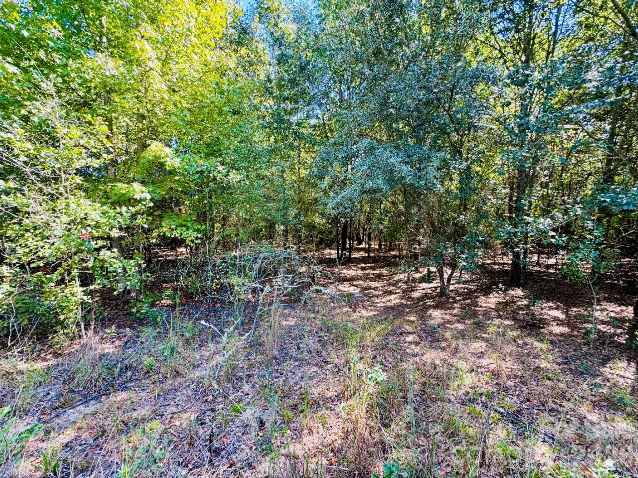 Lot at Lot 167 Brangus Lane, Cheraw, photo 3 of 6