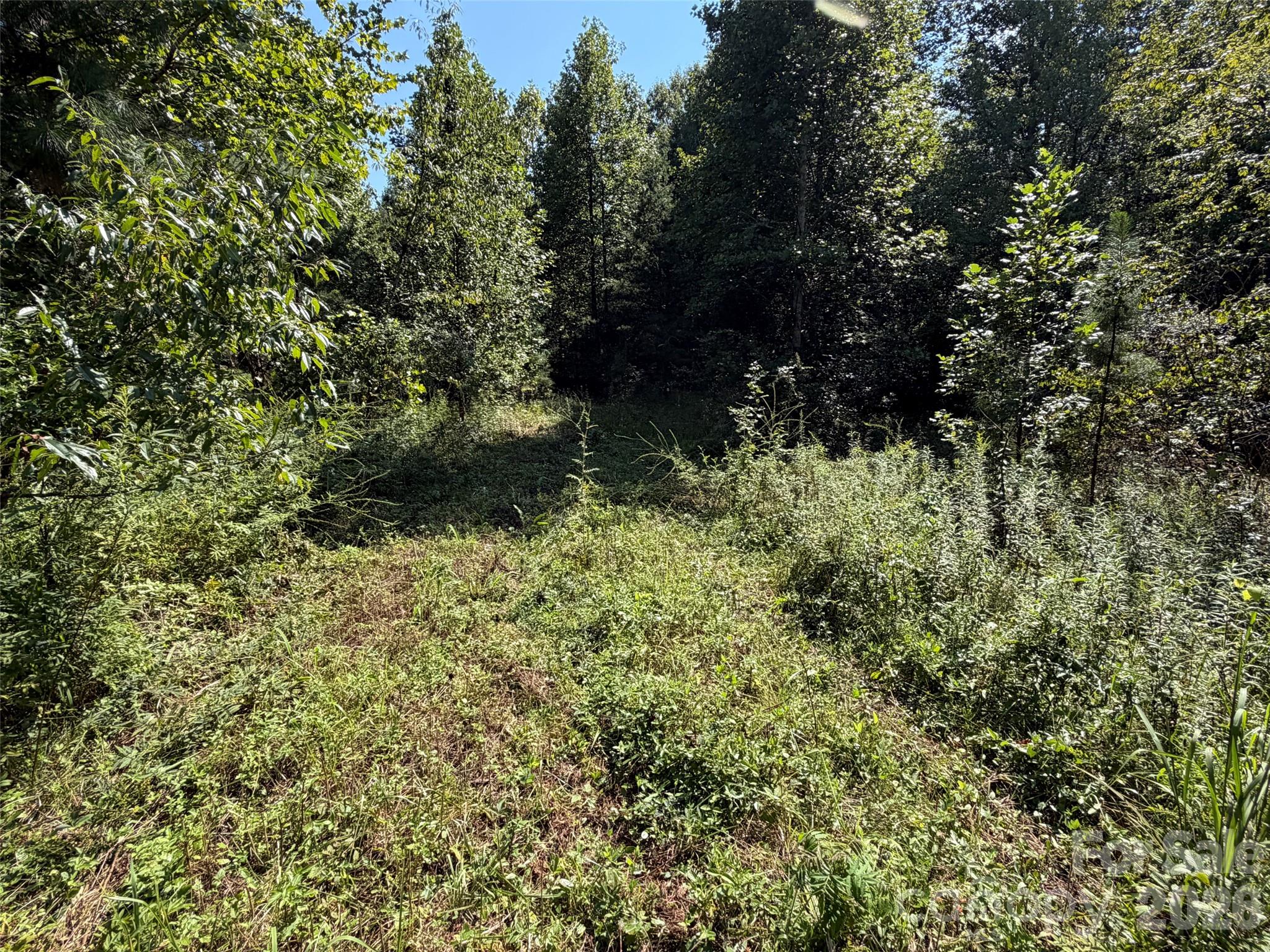 Acreage at TBD Southern Way, Nebo, photo 13 of 47