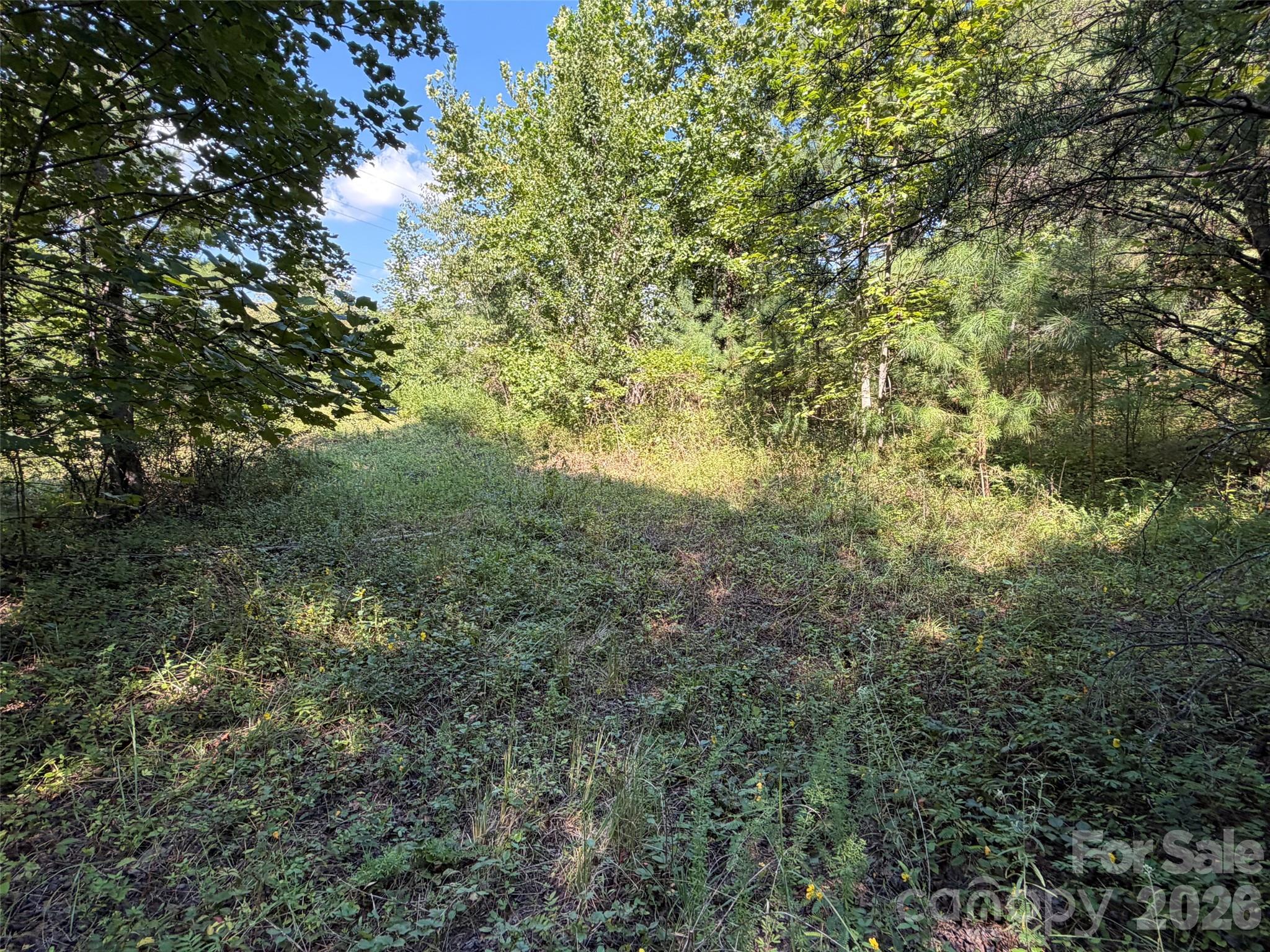 Acreage at TBD Southern Way, Nebo, photo 14 of 47