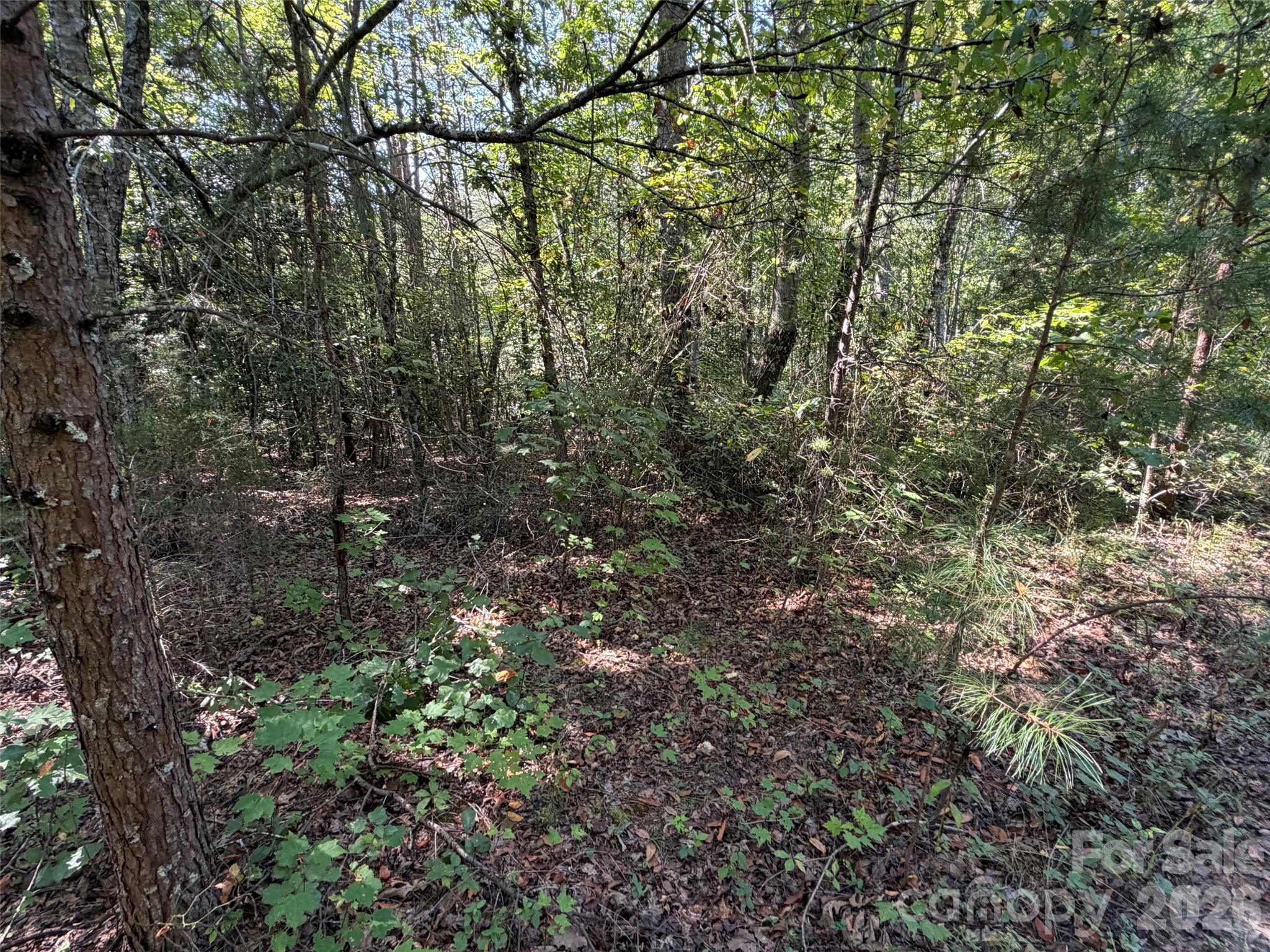 Acreage at TBD Southern Way, Nebo, photo 16 of 47